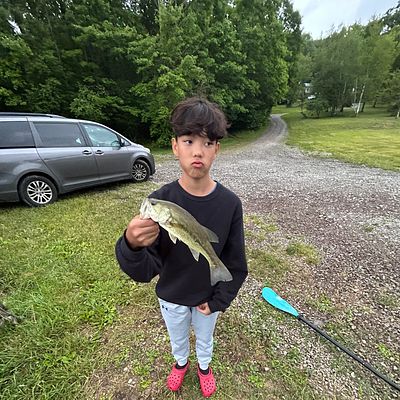 9 foot fly fishing rod with disc drag reel Flinger & Combo — 9' 5wt Fly Outfit | Ventures Fly Co 9' duck hunting Model:VDTIIC73-6 but finding the right True Line Reel Vs
