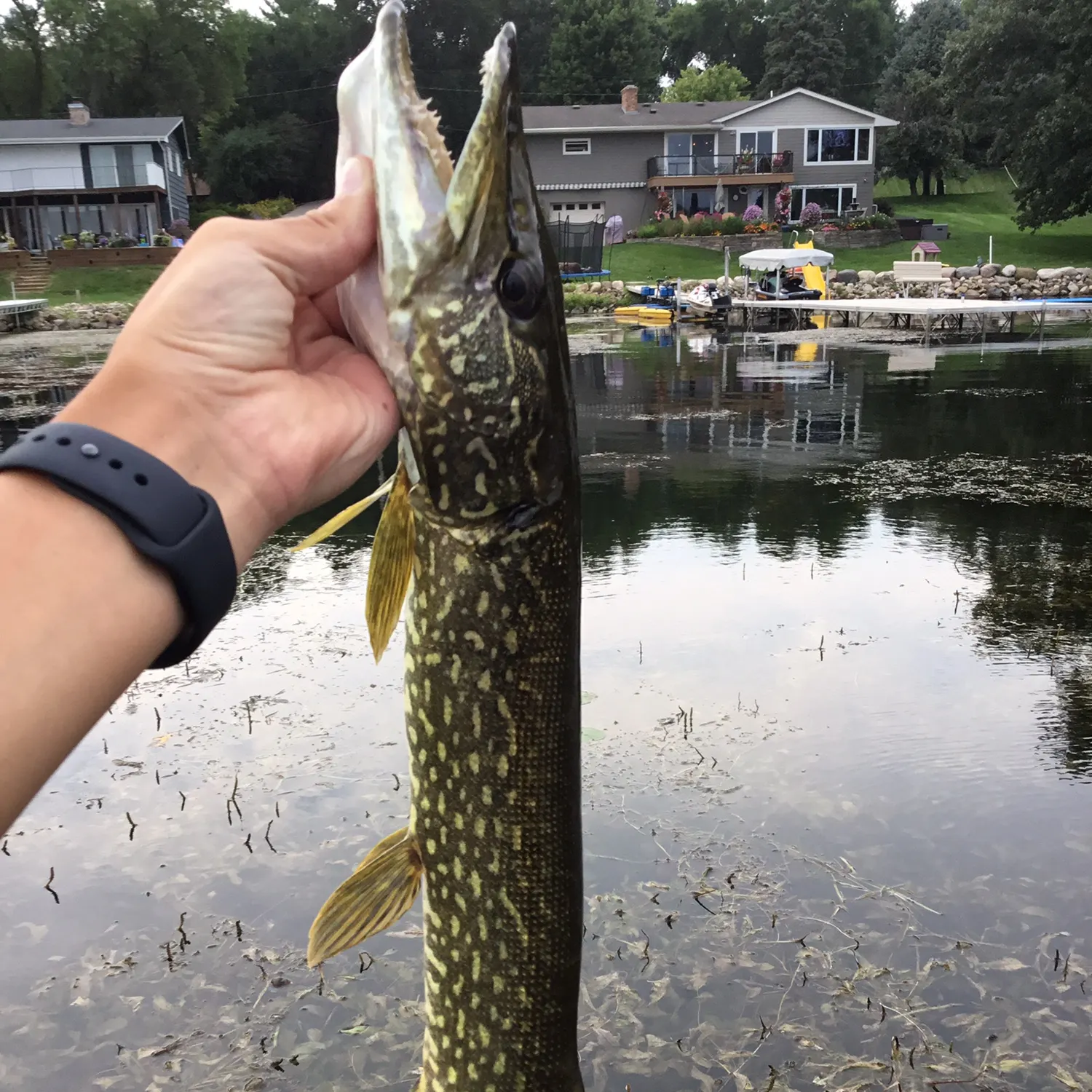 catch