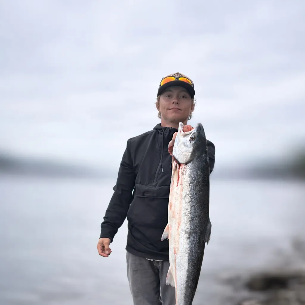 The most recent Steelhead catches on Fishbrain