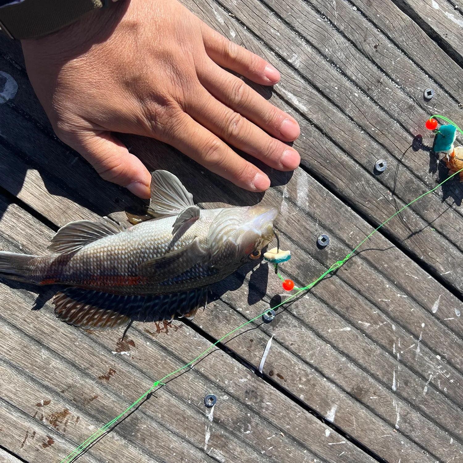 catch