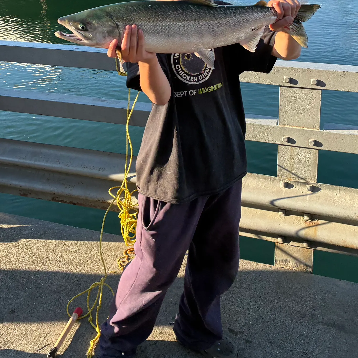 Chum salmon caught on Fishbrain