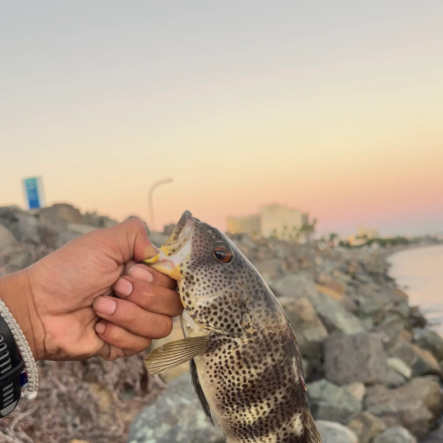 catch