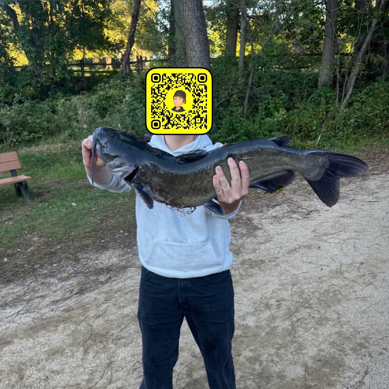 Channel catfish caught on Fishbrain