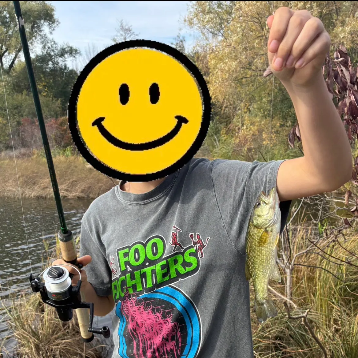 Smallmouth bass caught on Fishbrain