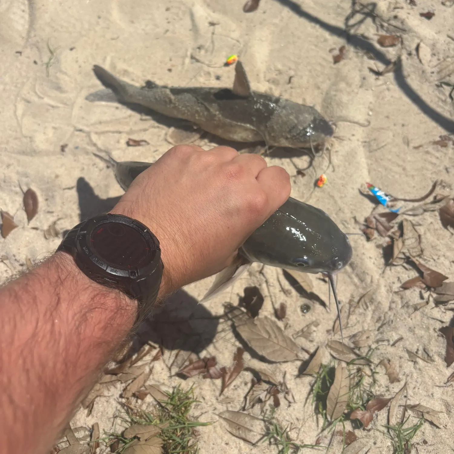 catch