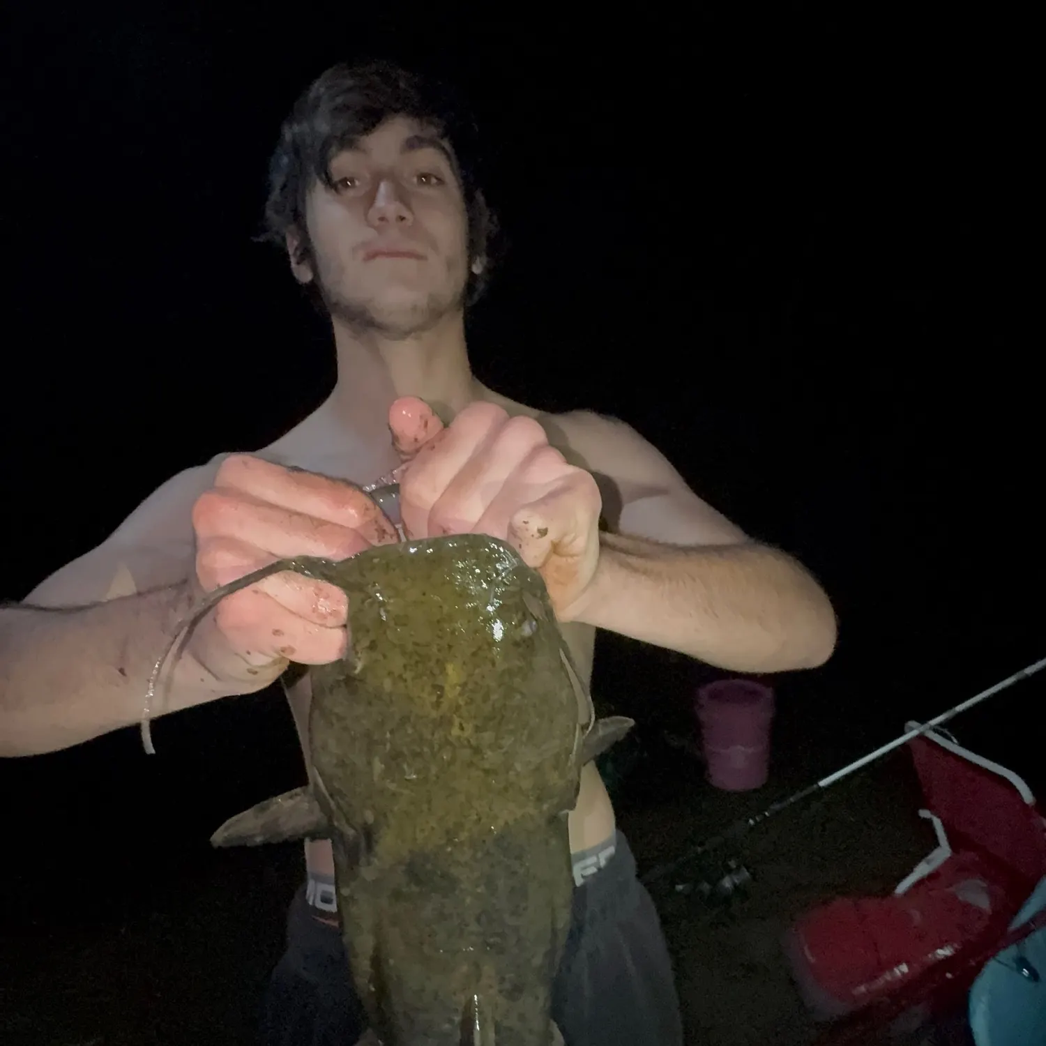 Flathead catfish caught on Fishbrain