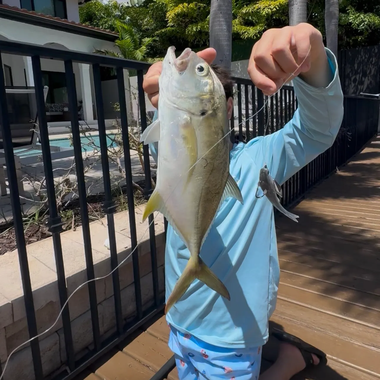 Crevalle jack caught on Fishbrain
