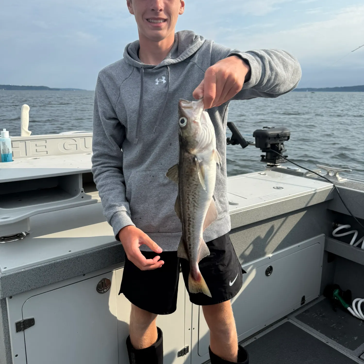 The most recent Pacific tomcod catches on Fishbrain