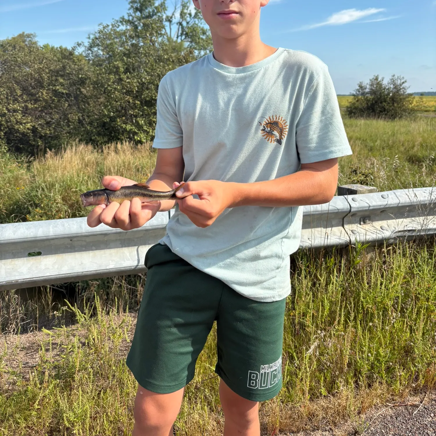 Creek chub caught on Fishbrain