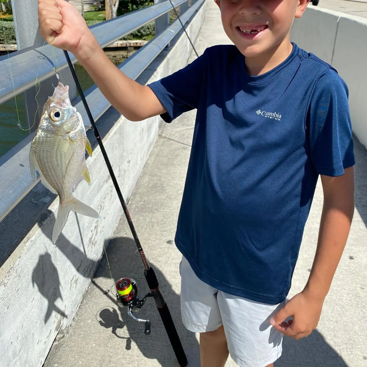 Striped mojarra caught on Fishbrain