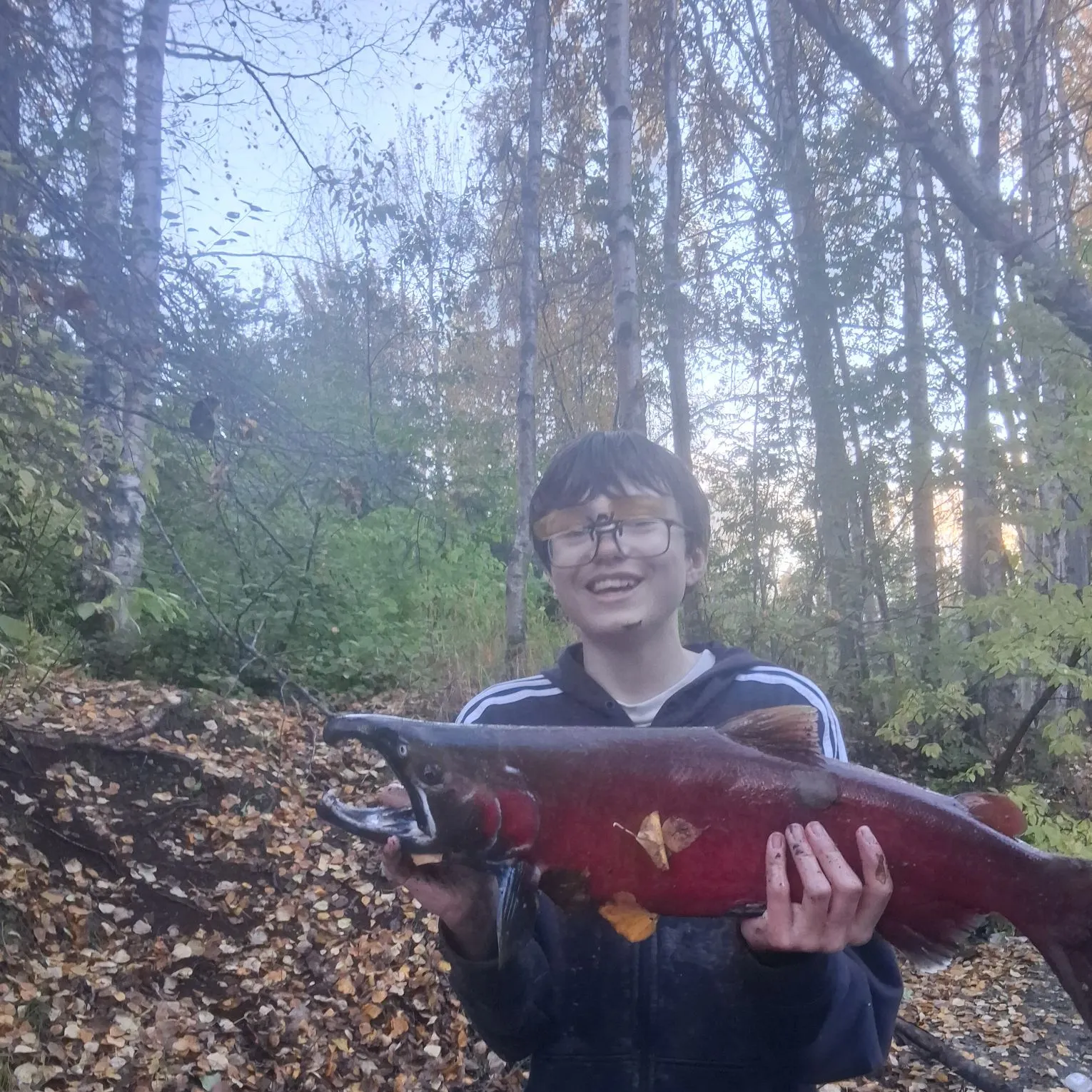 Coho salmon caught on Fishbrain