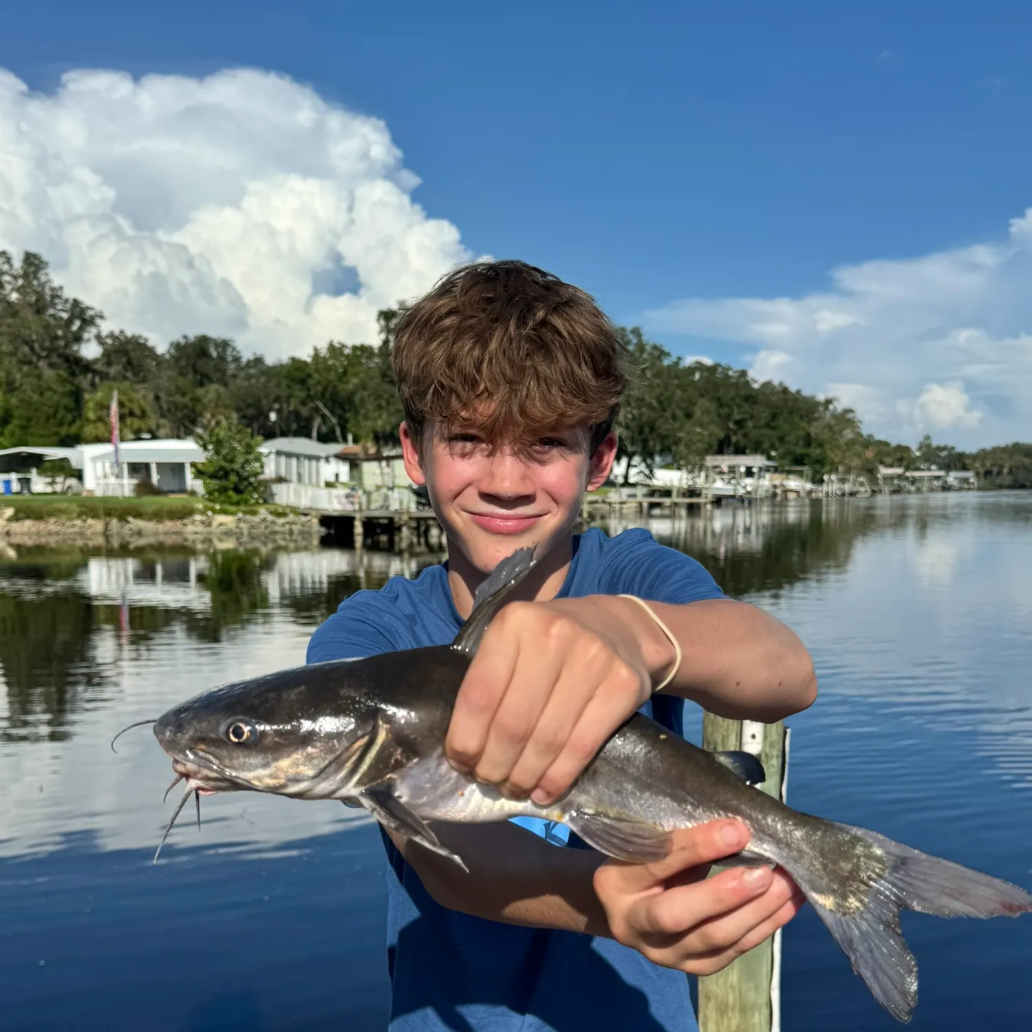 White bullhead caught on Fishbrain