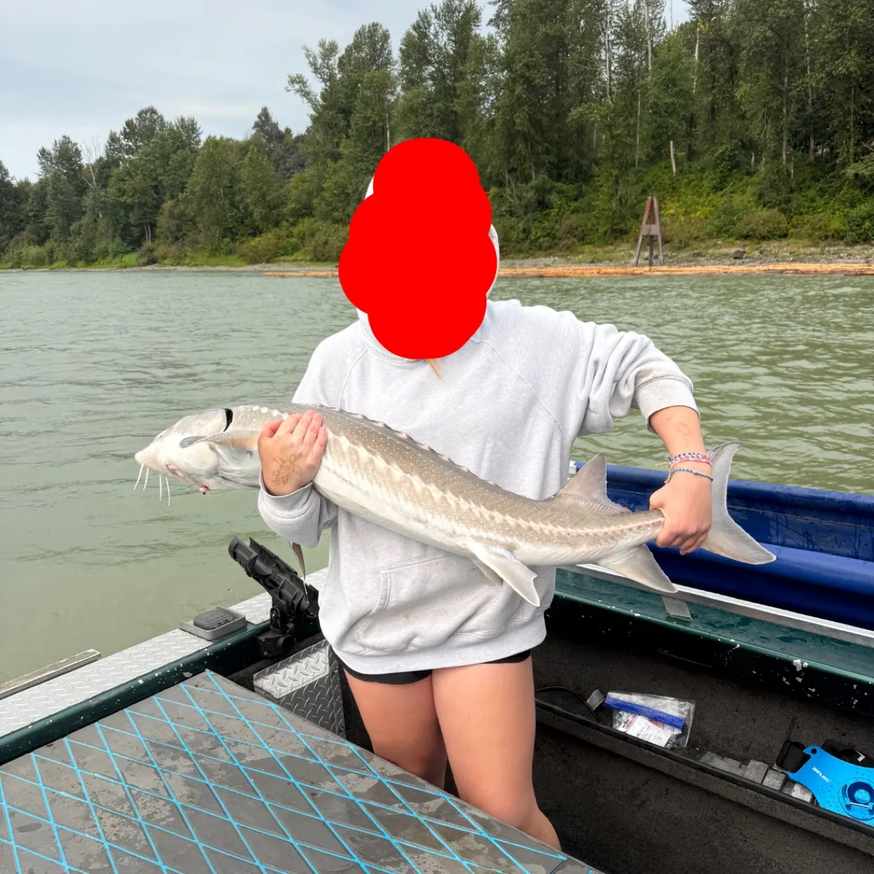 The most recent White sturgeon catches on Fishbrain