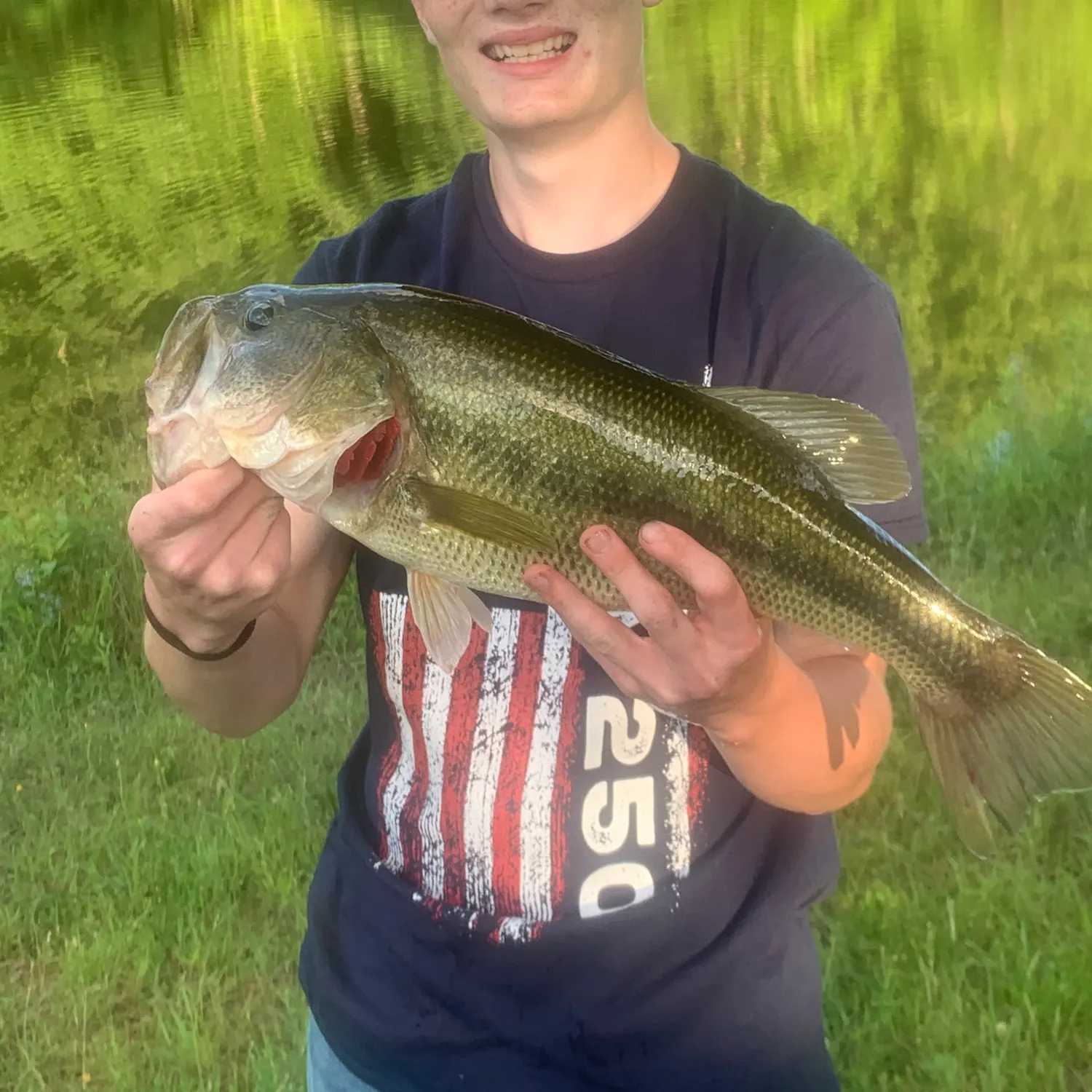 Largemouth bass caught on Fishbrain