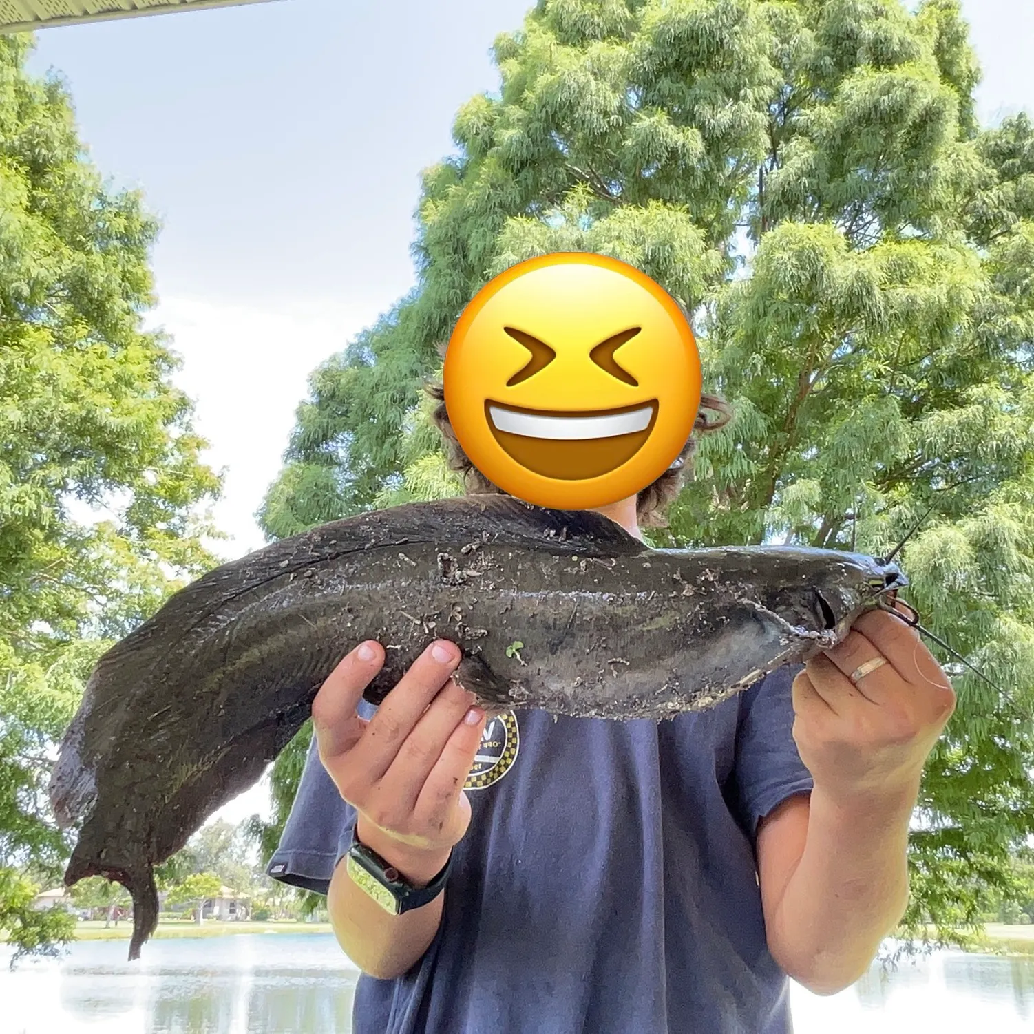 The most recent Walking catfish catches on Fishbrain