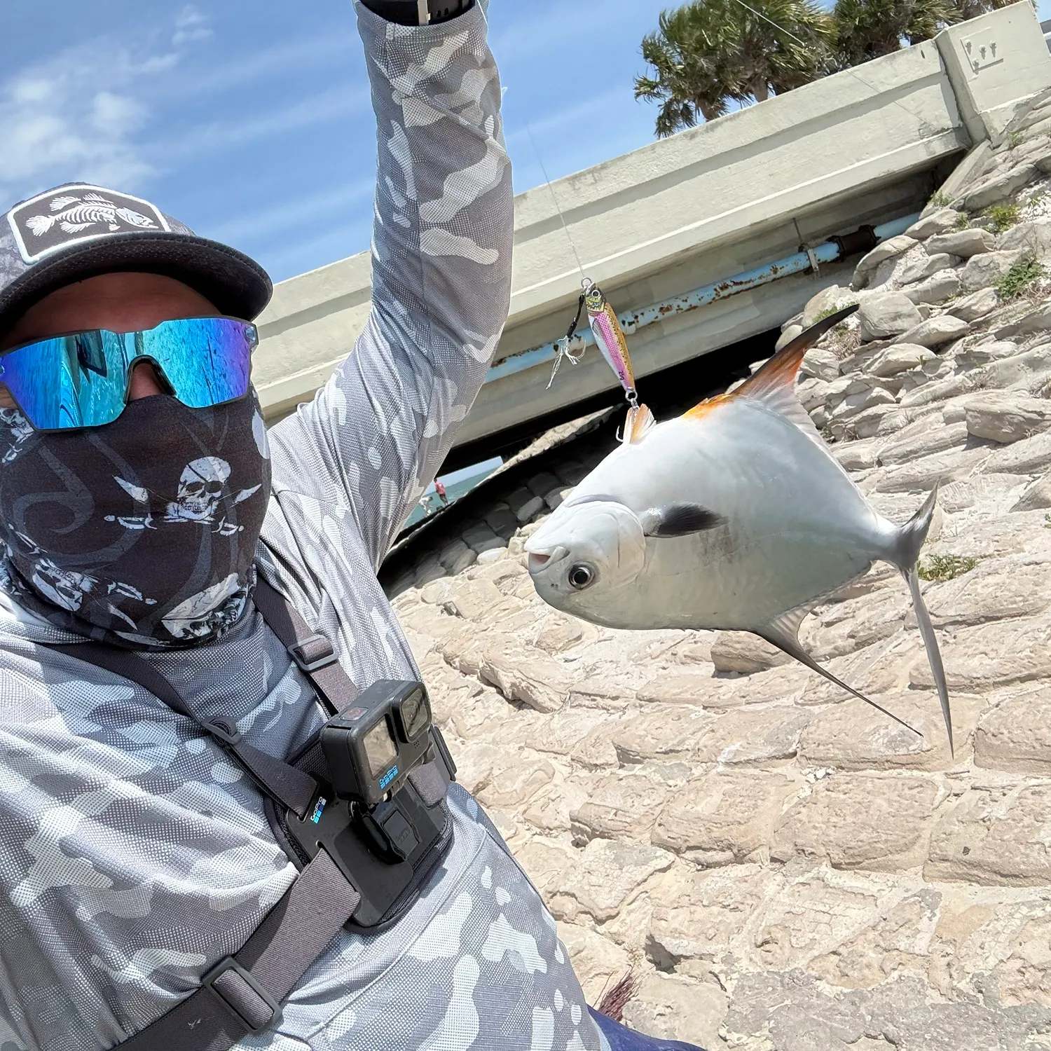 The most recent Permit catches on Fishbrain