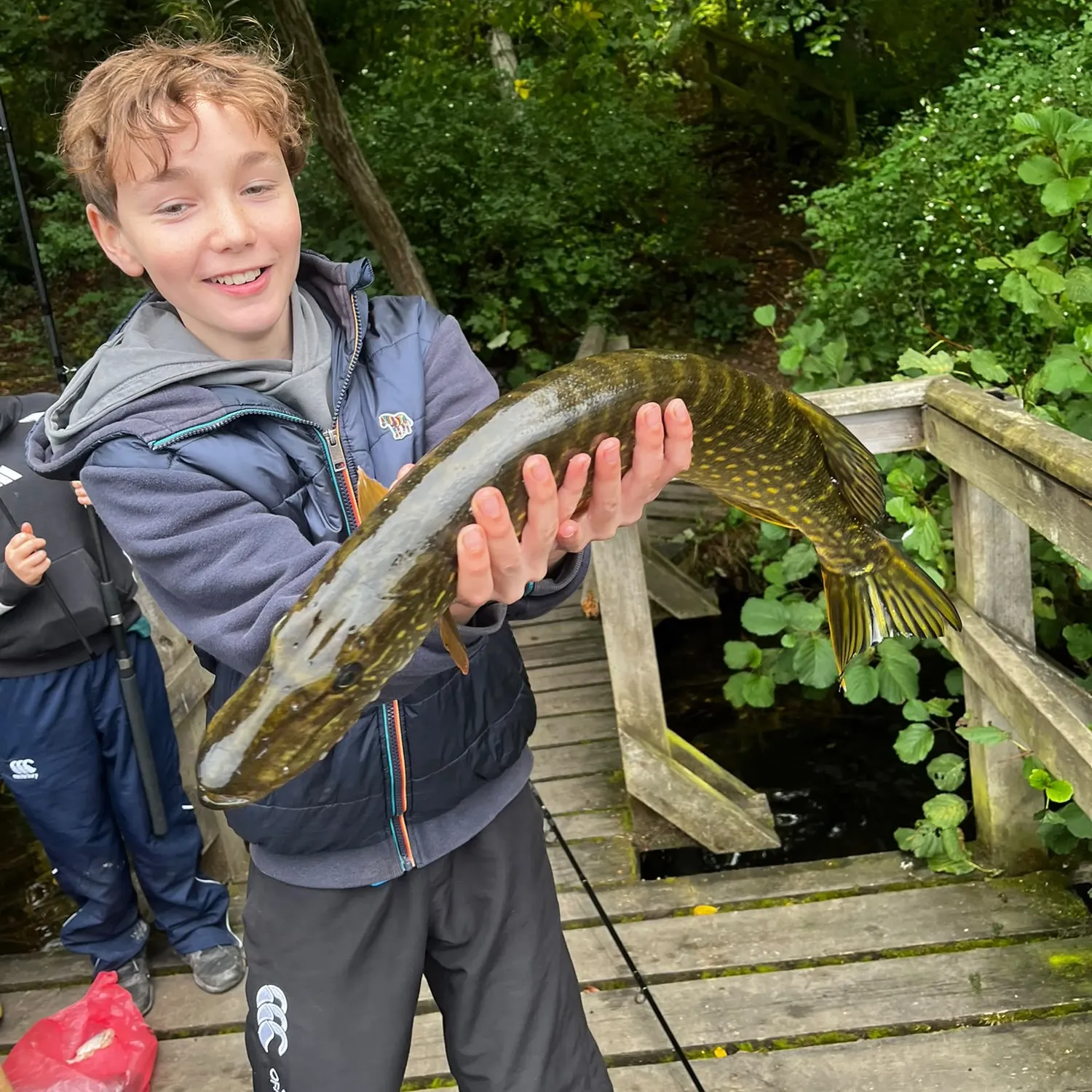 Northern pike caught on Fishbrain