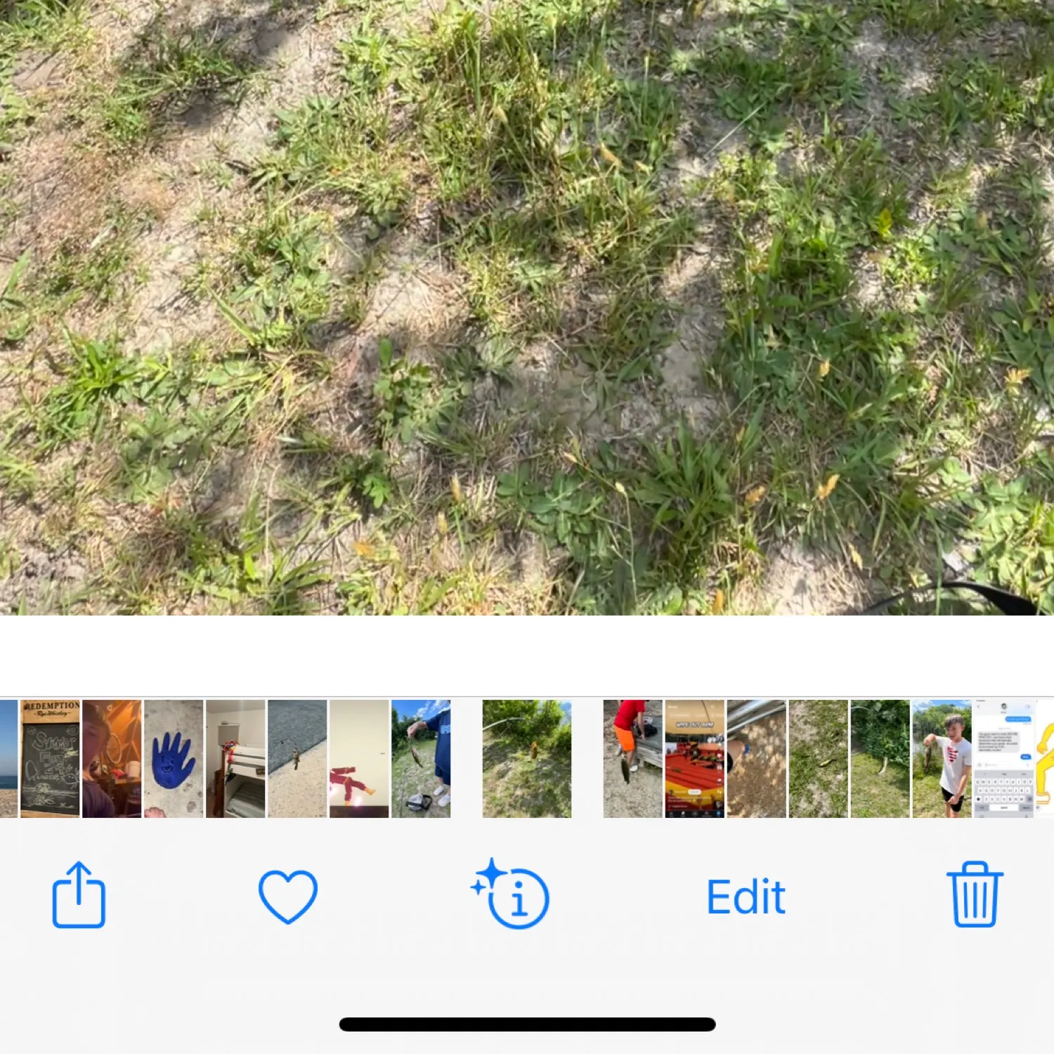 recently logged catches