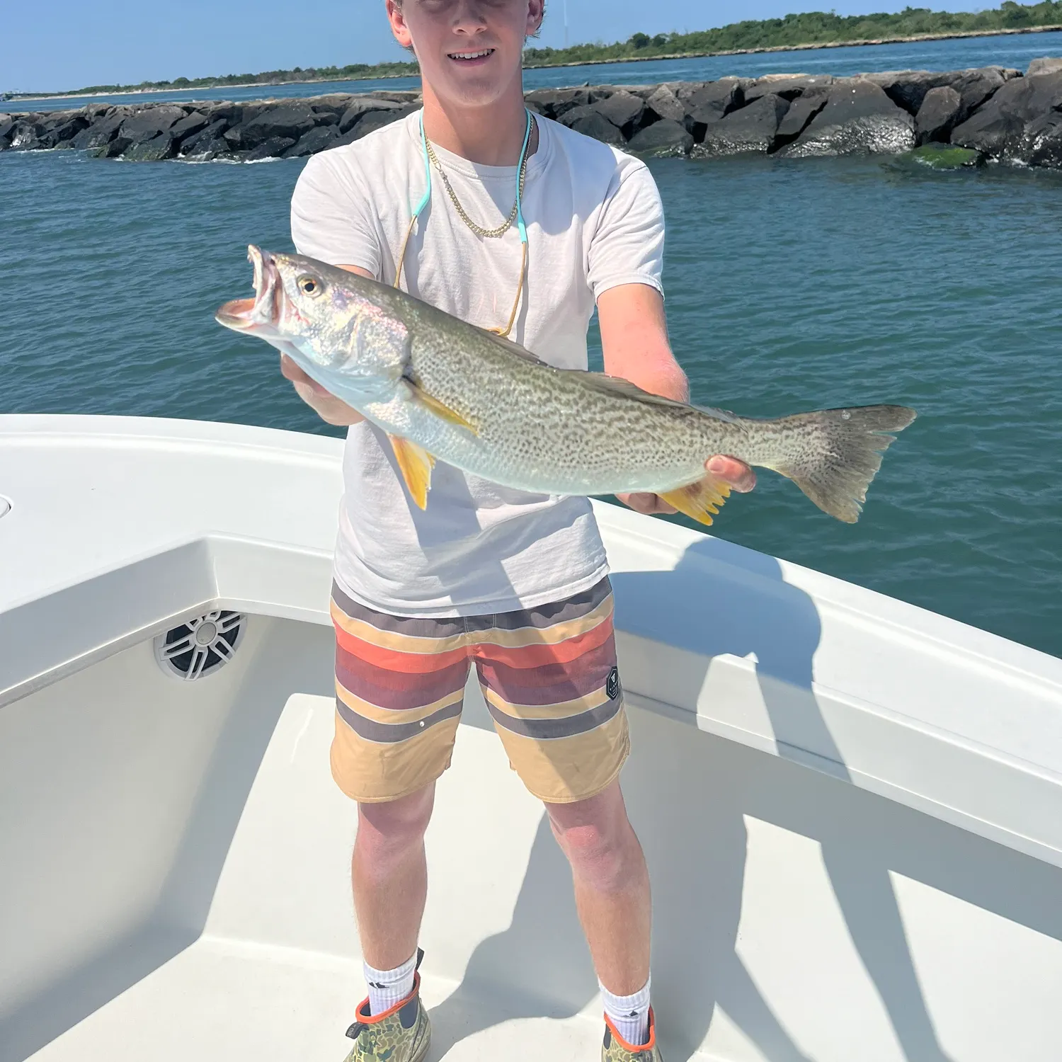 The most recent Gray weakfish catches on Fishbrain
