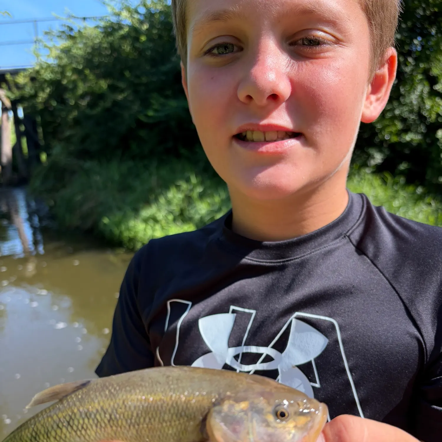 Creek chub caught on Fishbrain