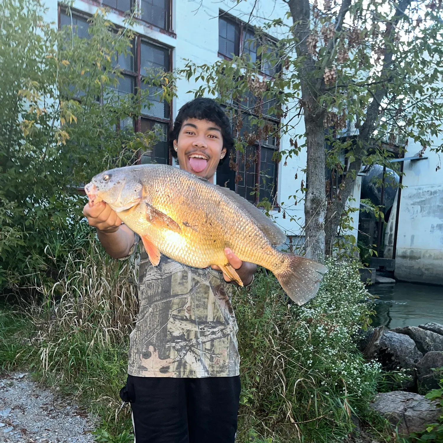Freshwater drum caught on Fishbrain
