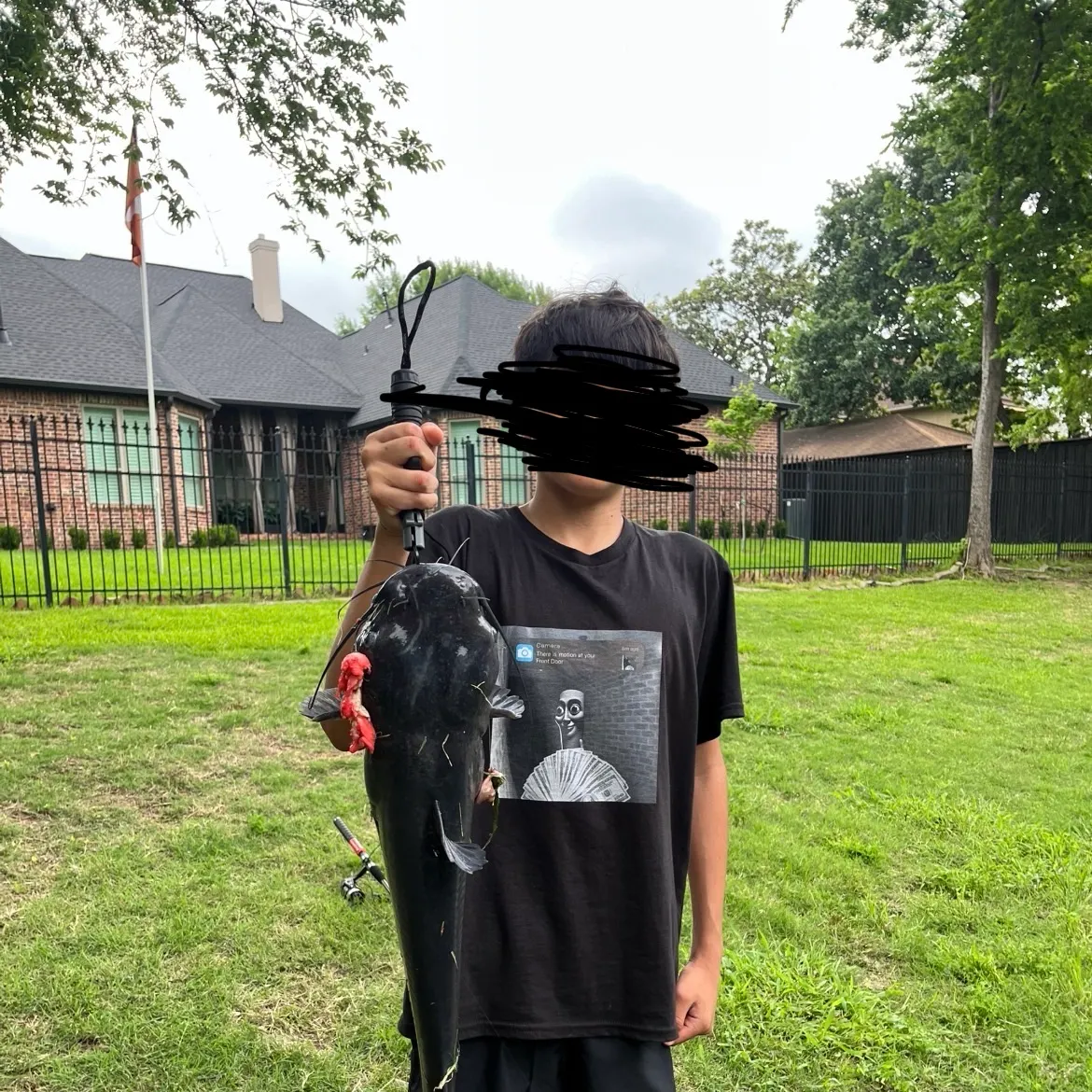 The most recent Hardhead sea catfish catches on Fishbrain