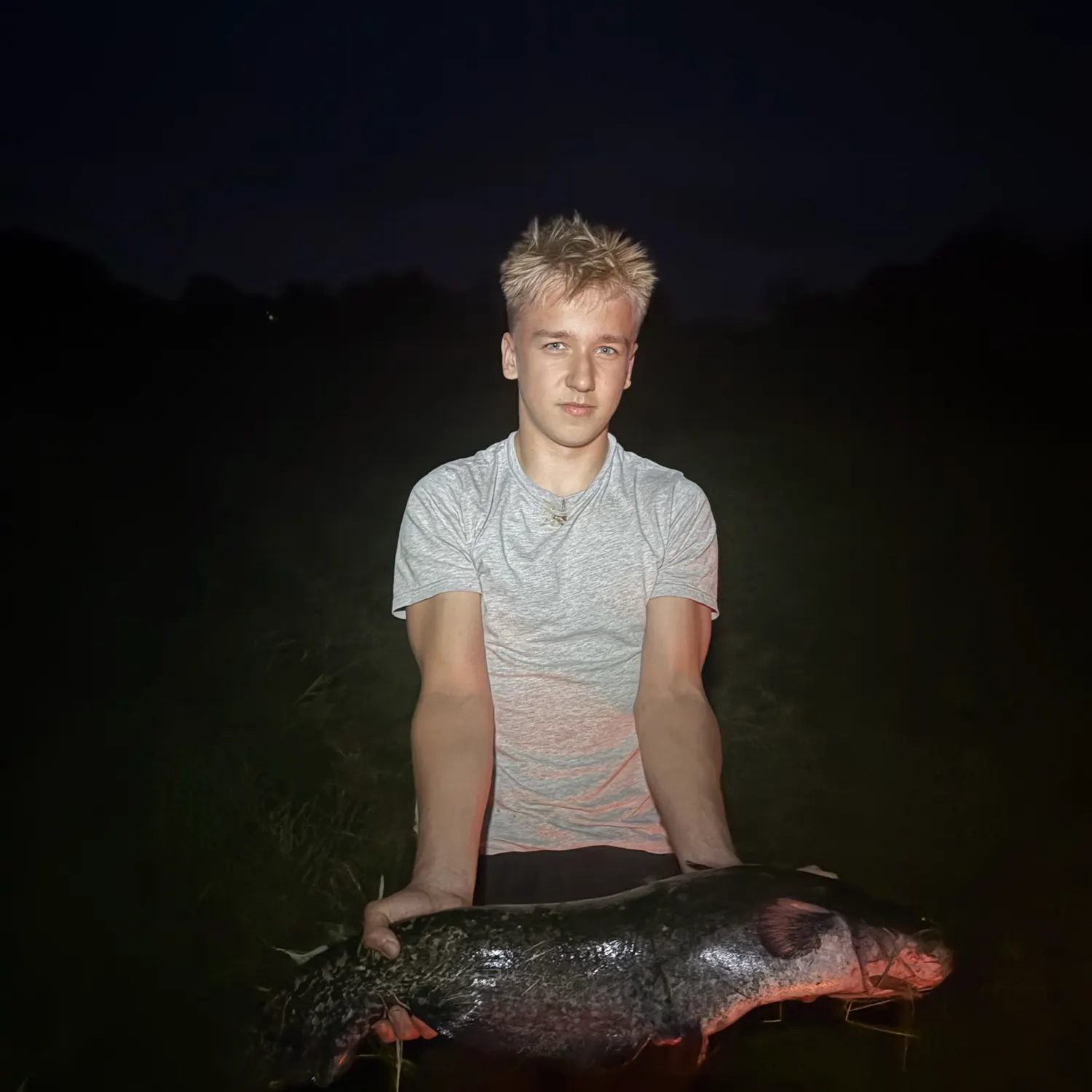 Wels catfish caught on Fishbrain