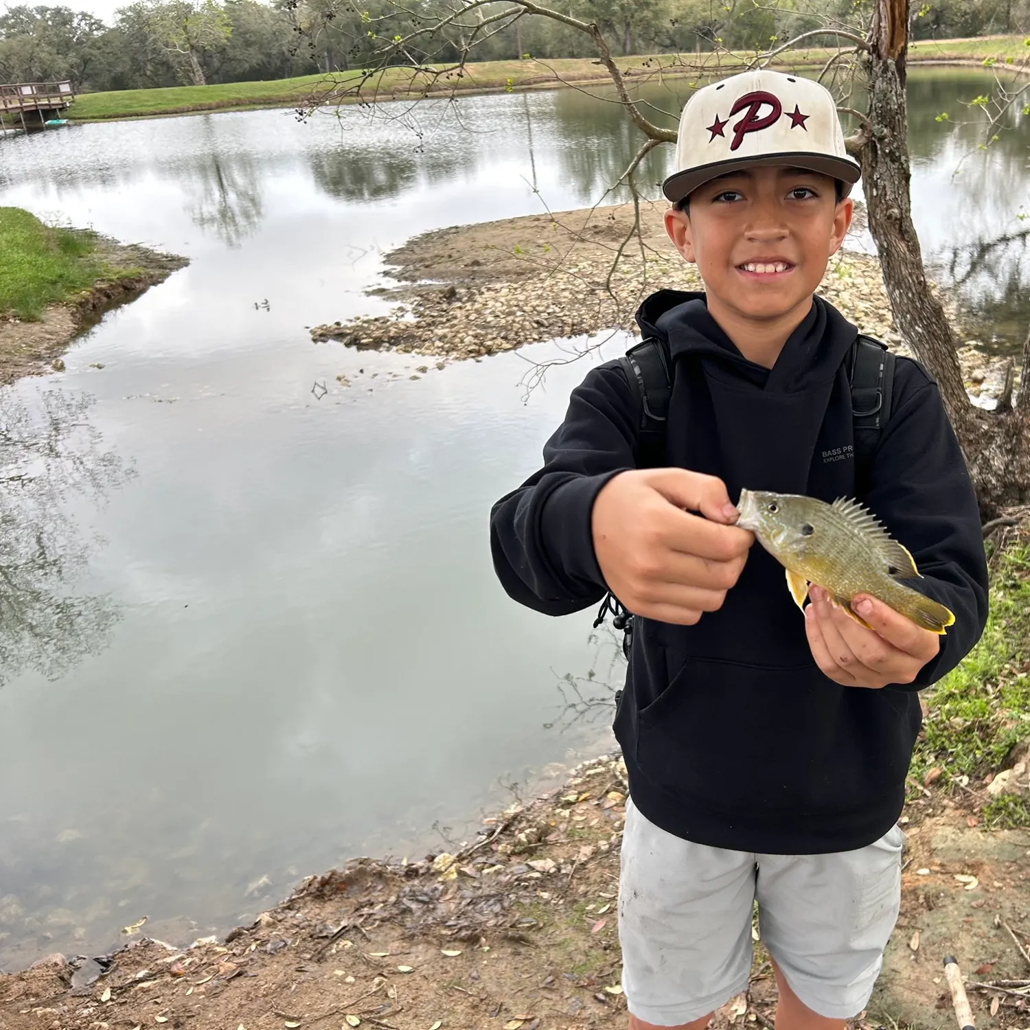 Green sunfish caught on Fishbrain