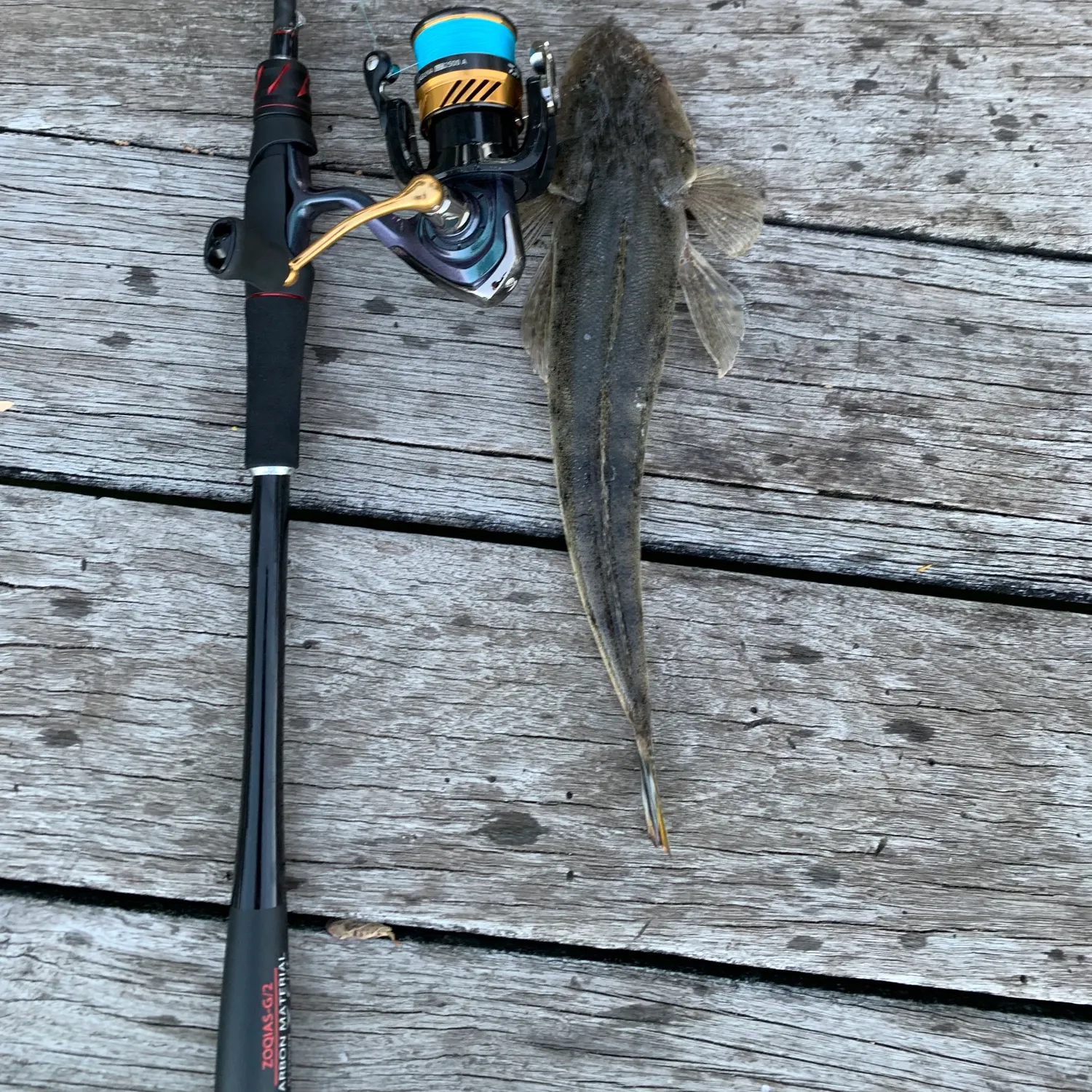 The most recent Bartail flathead catches on Fishbrain