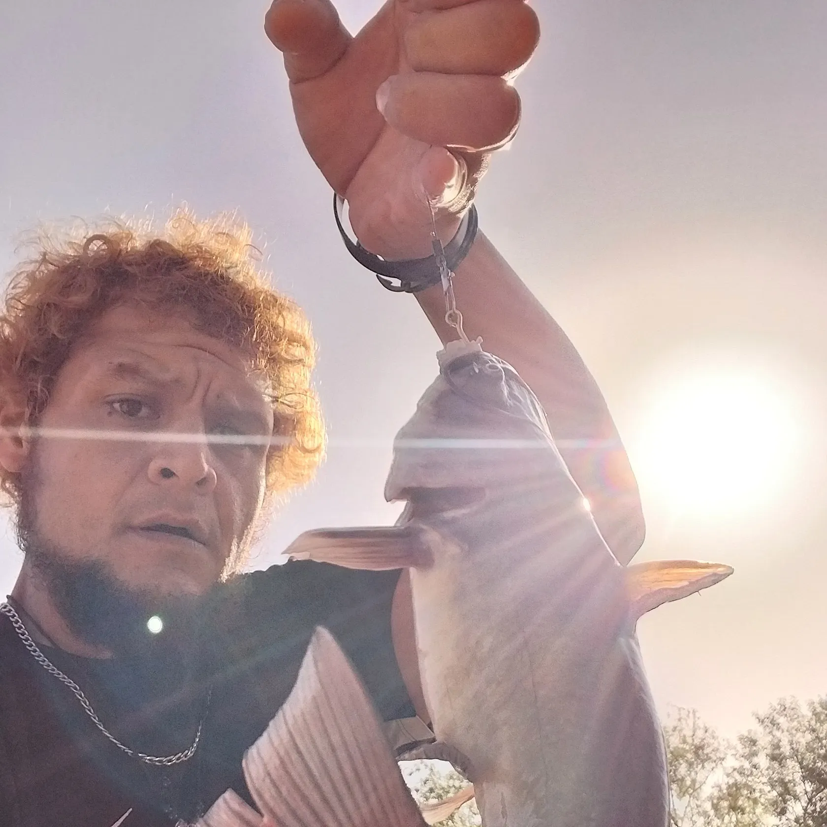 Channel catfish caught on Fishbrain