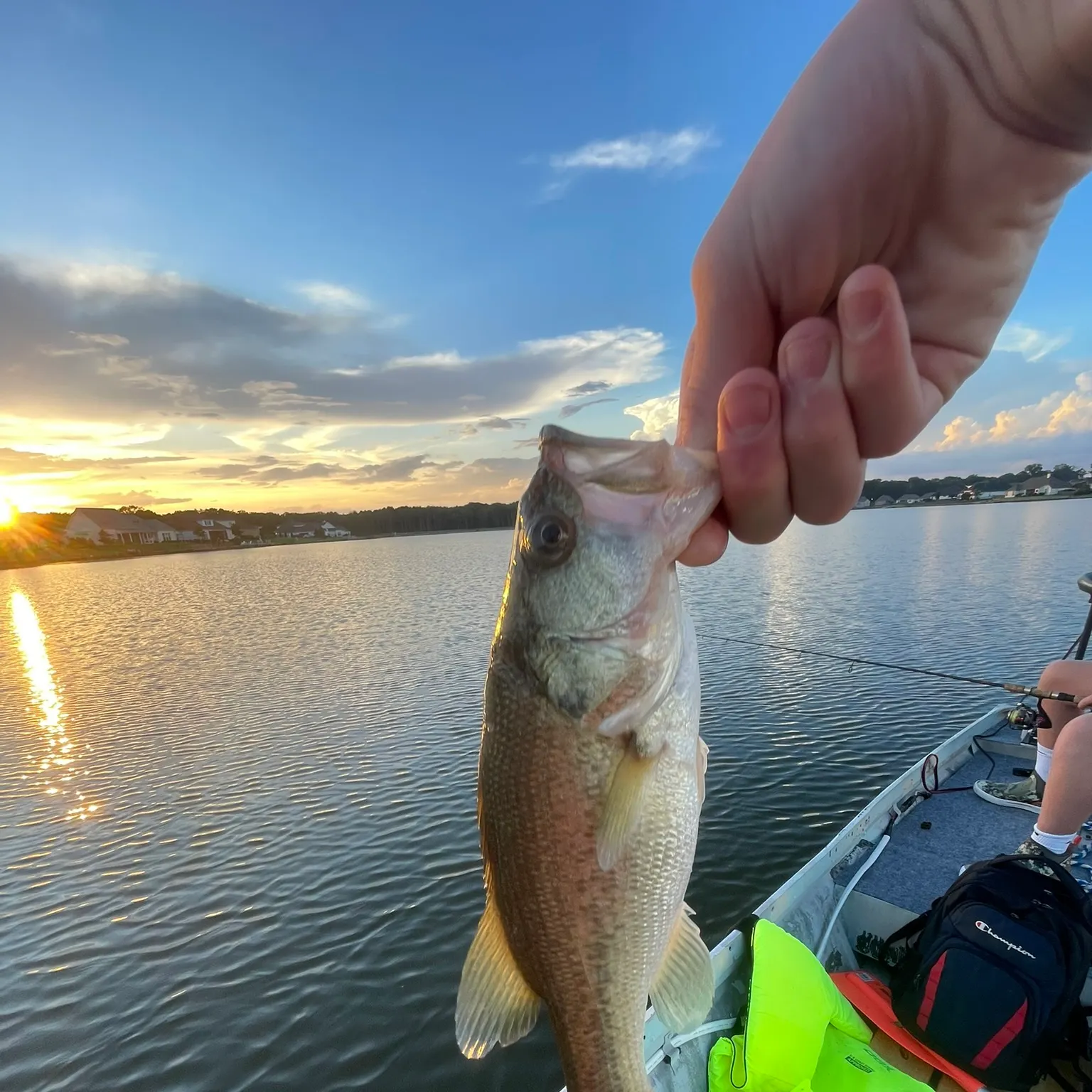 catch