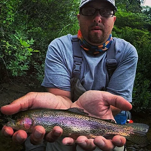 Rainbow trout caught on Fishbrain