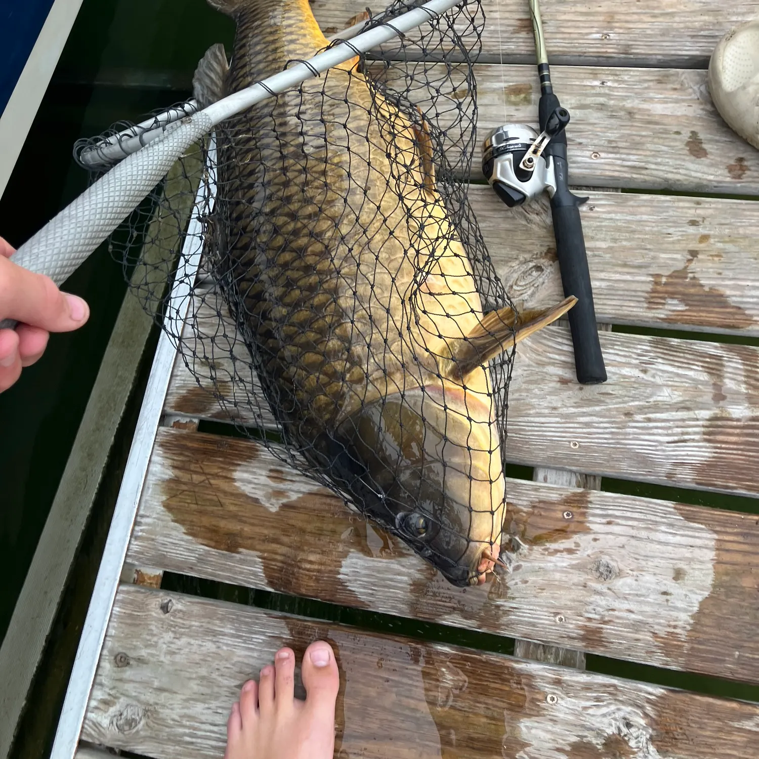 catch