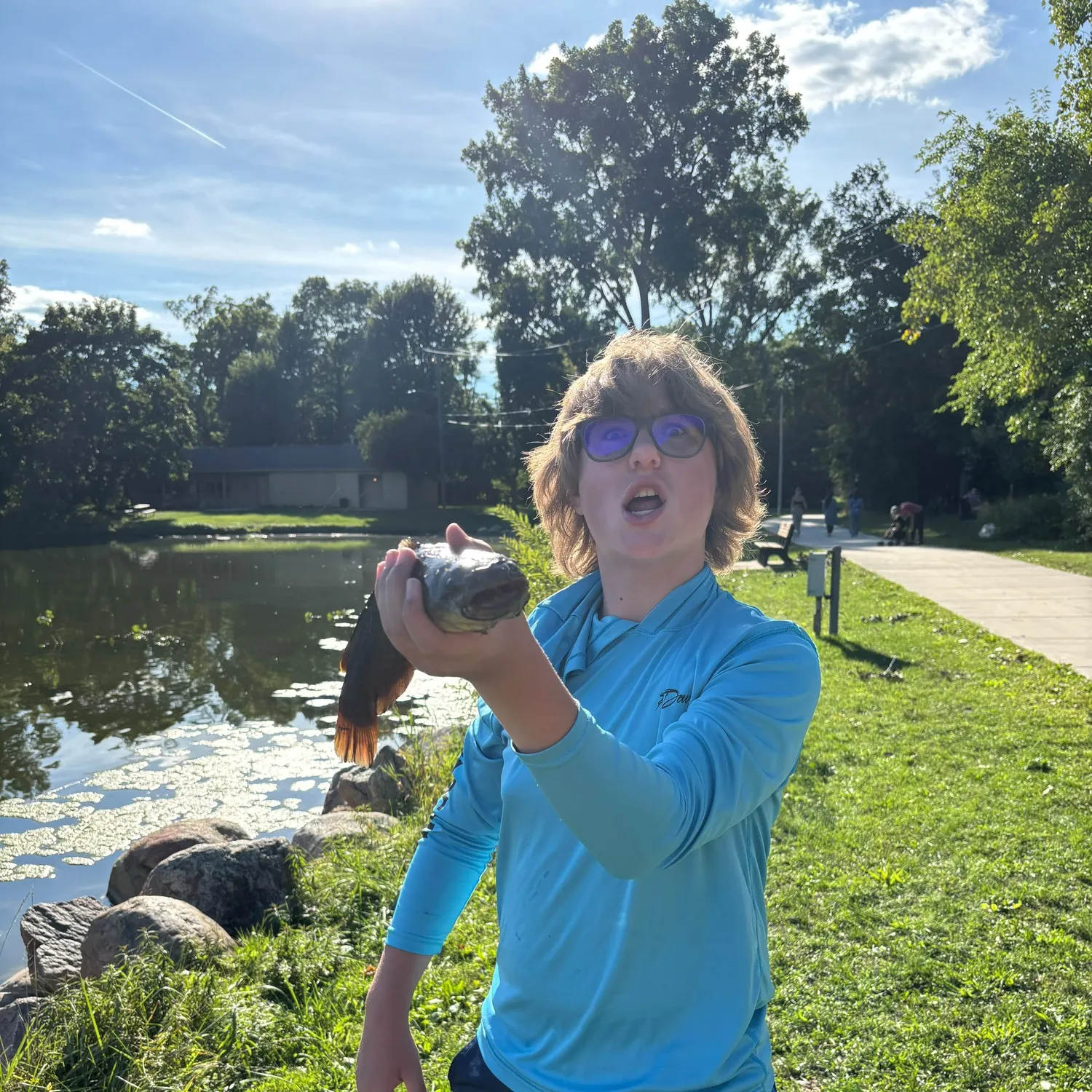 Yellow bullhead caught on Fishbrain