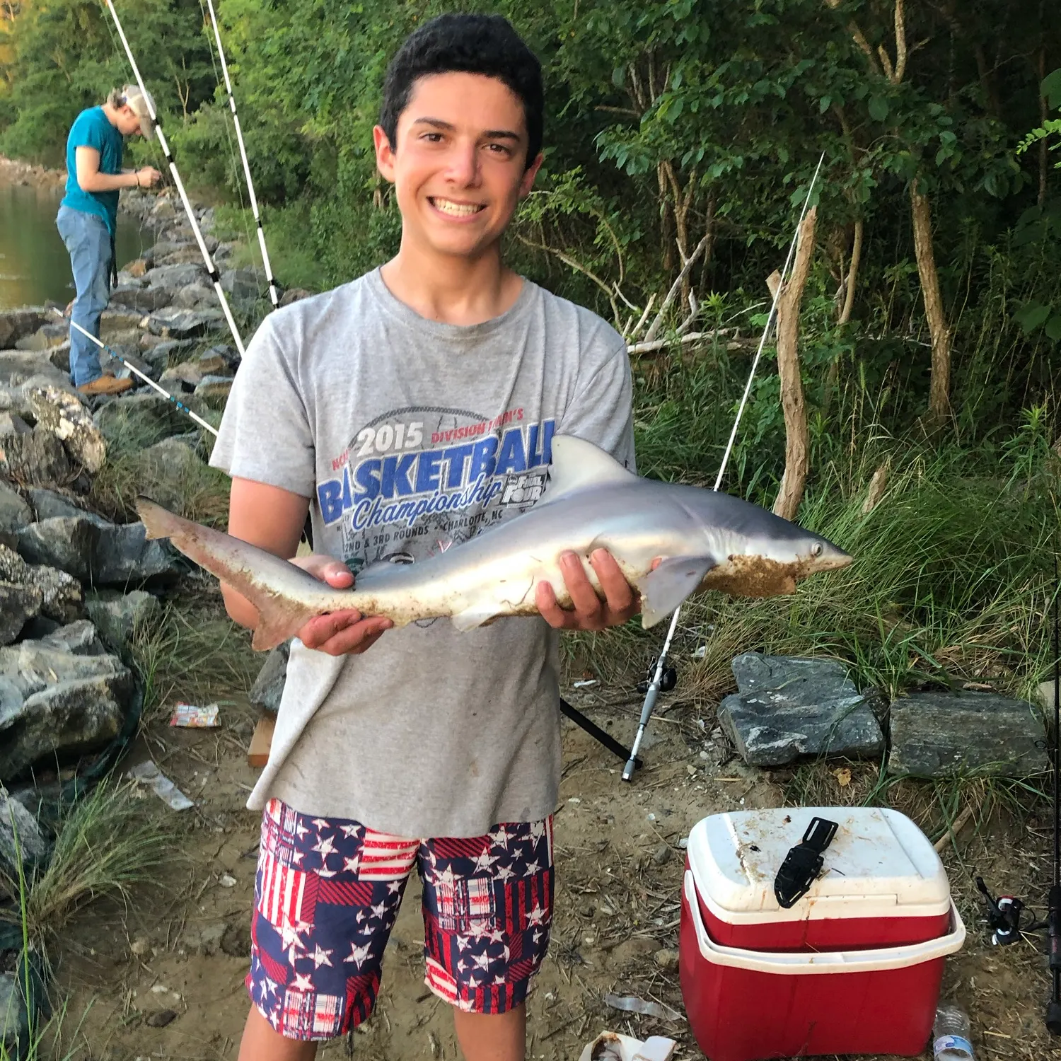 Sandbar shark caught on Fishbrain
