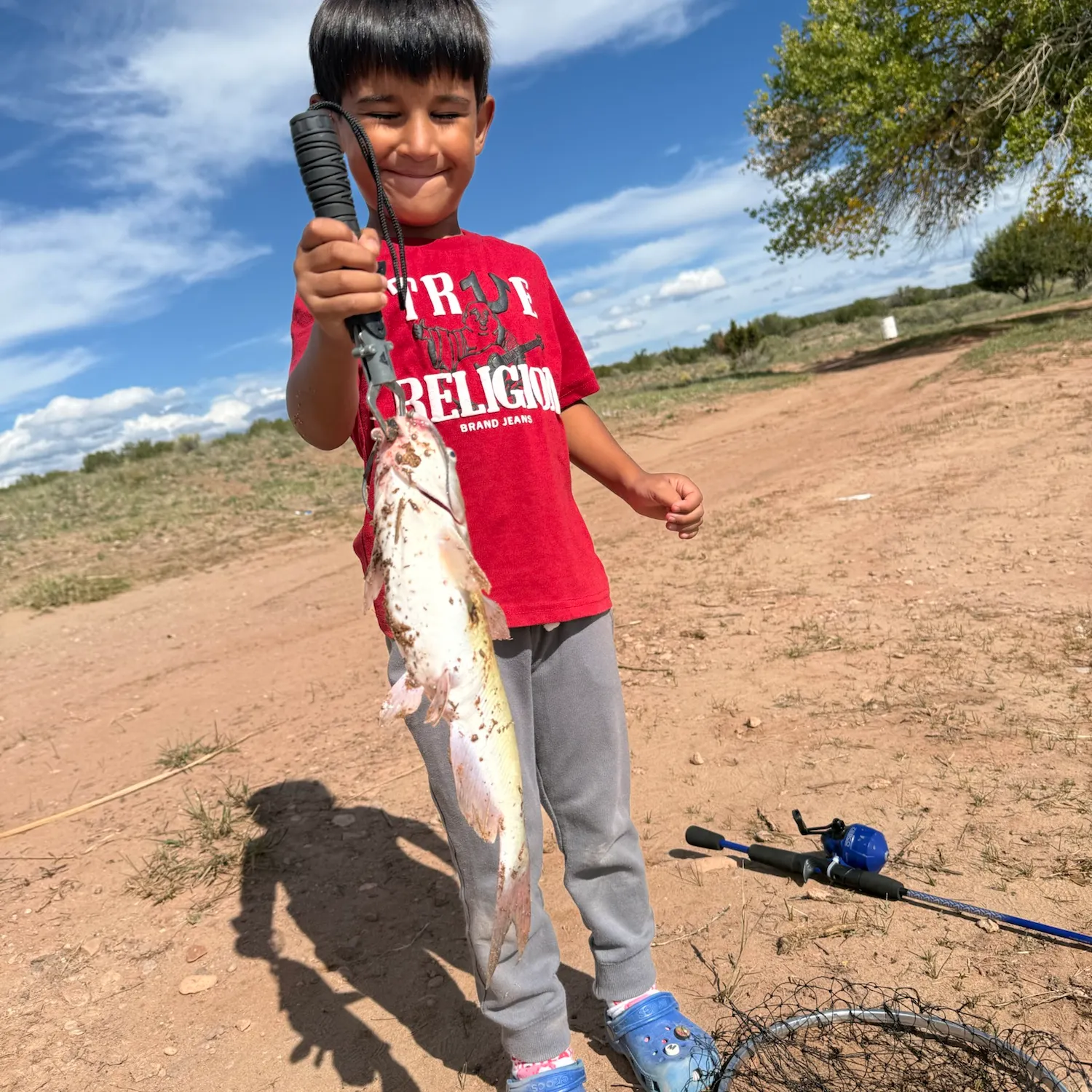 Channel catfish caught on Fishbrain