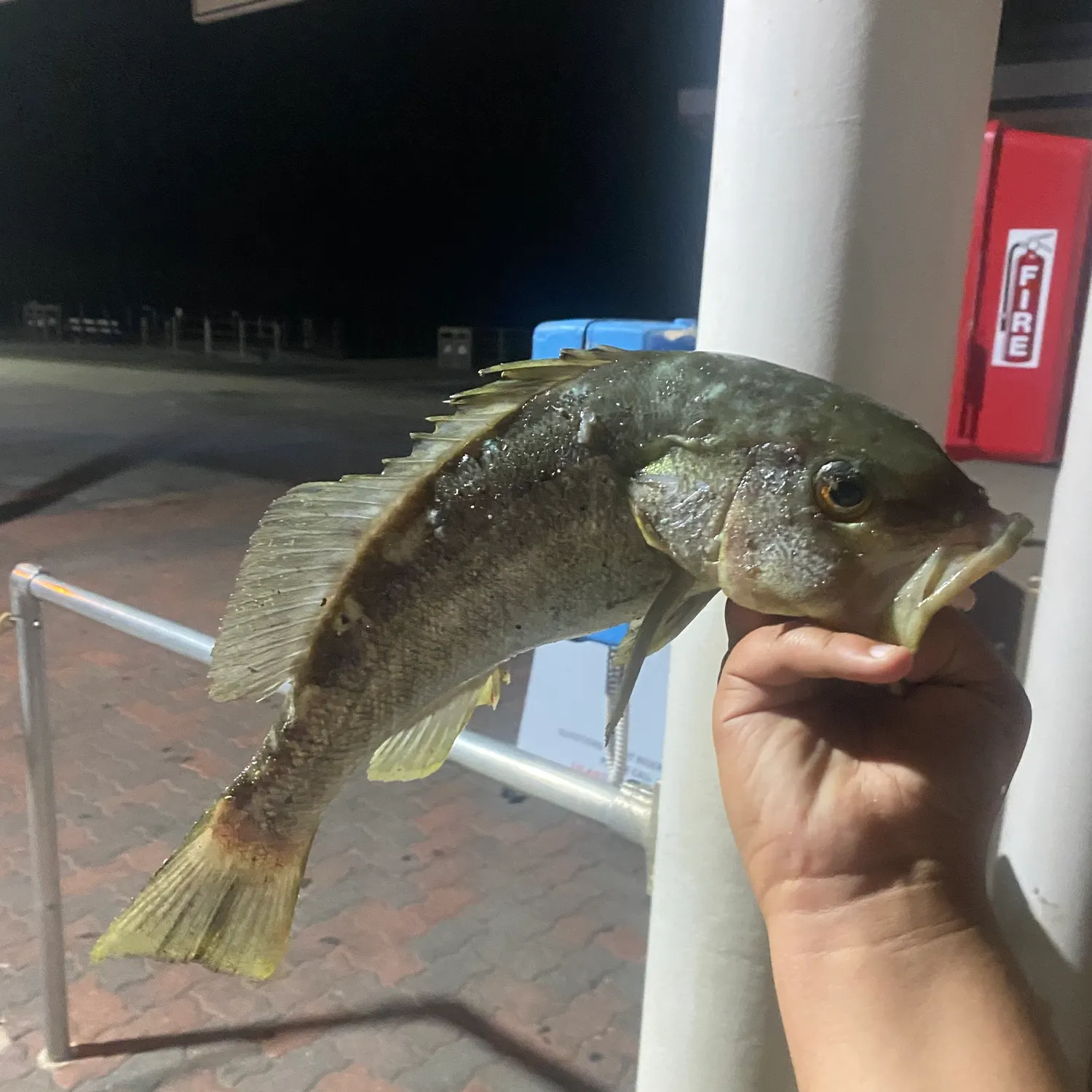 catch
