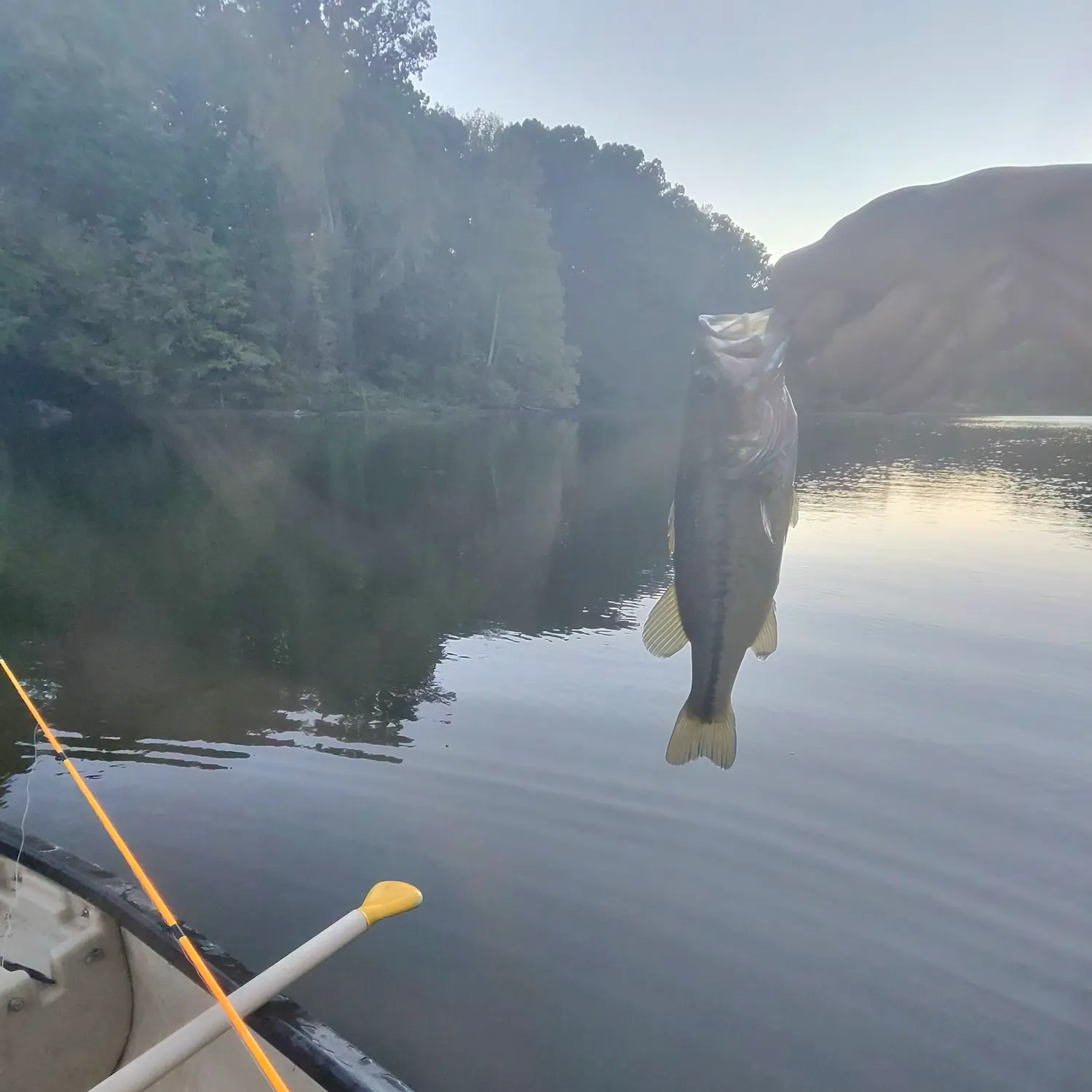 Largemouth bass caught on Fishbrain