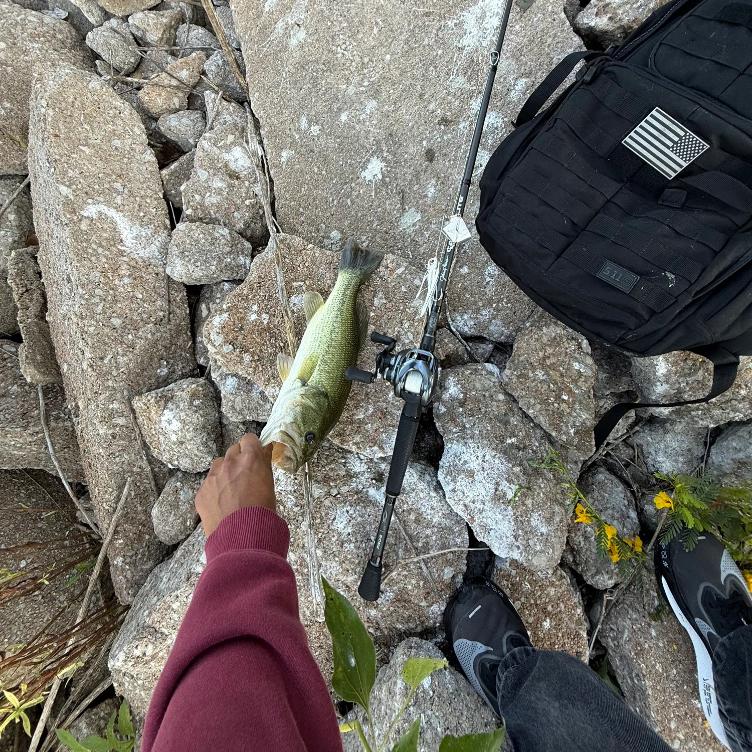 recently logged catches