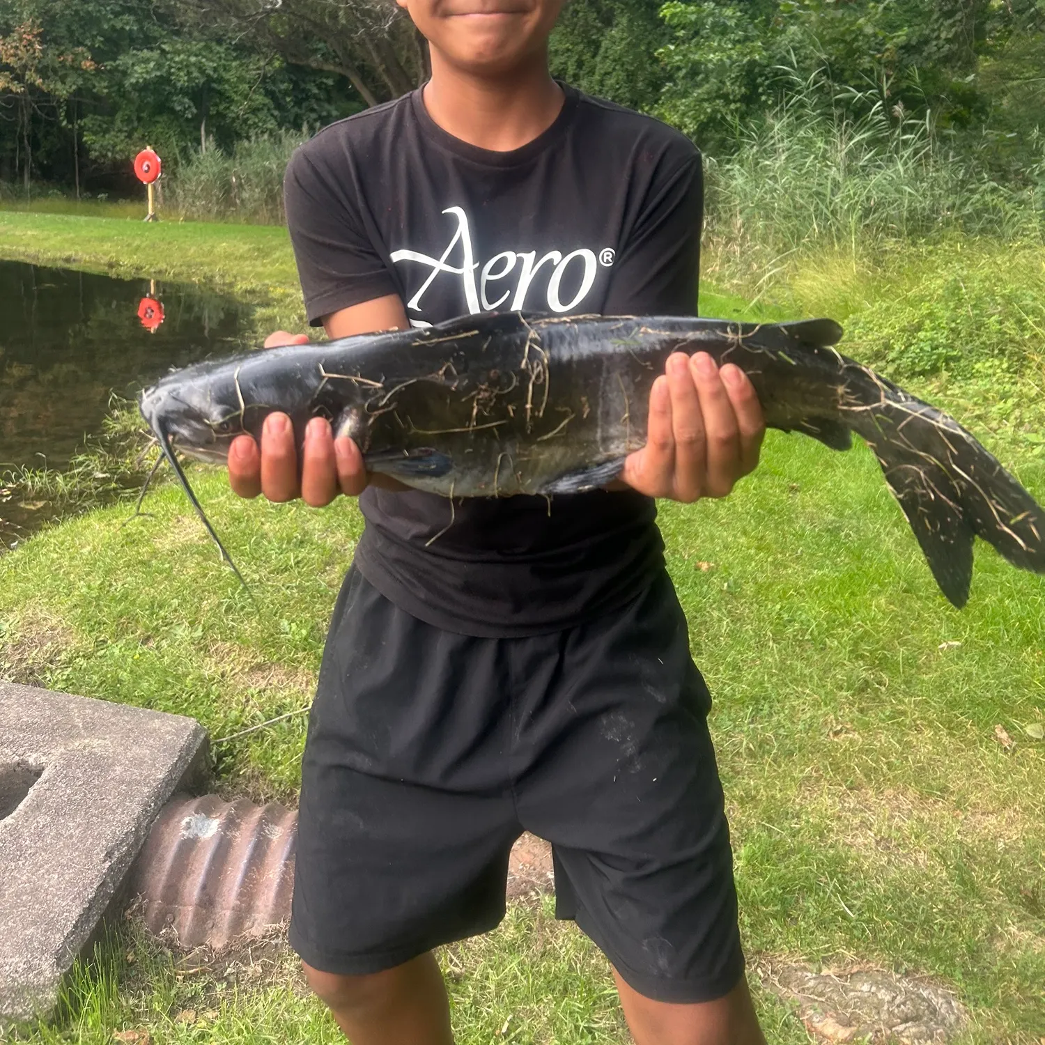 Channel catfish caught on Fishbrain