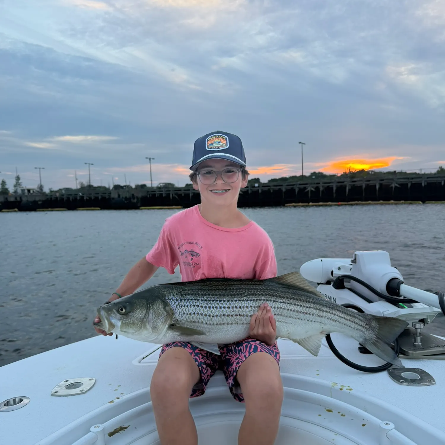 Striped bass caught on Fishbrain