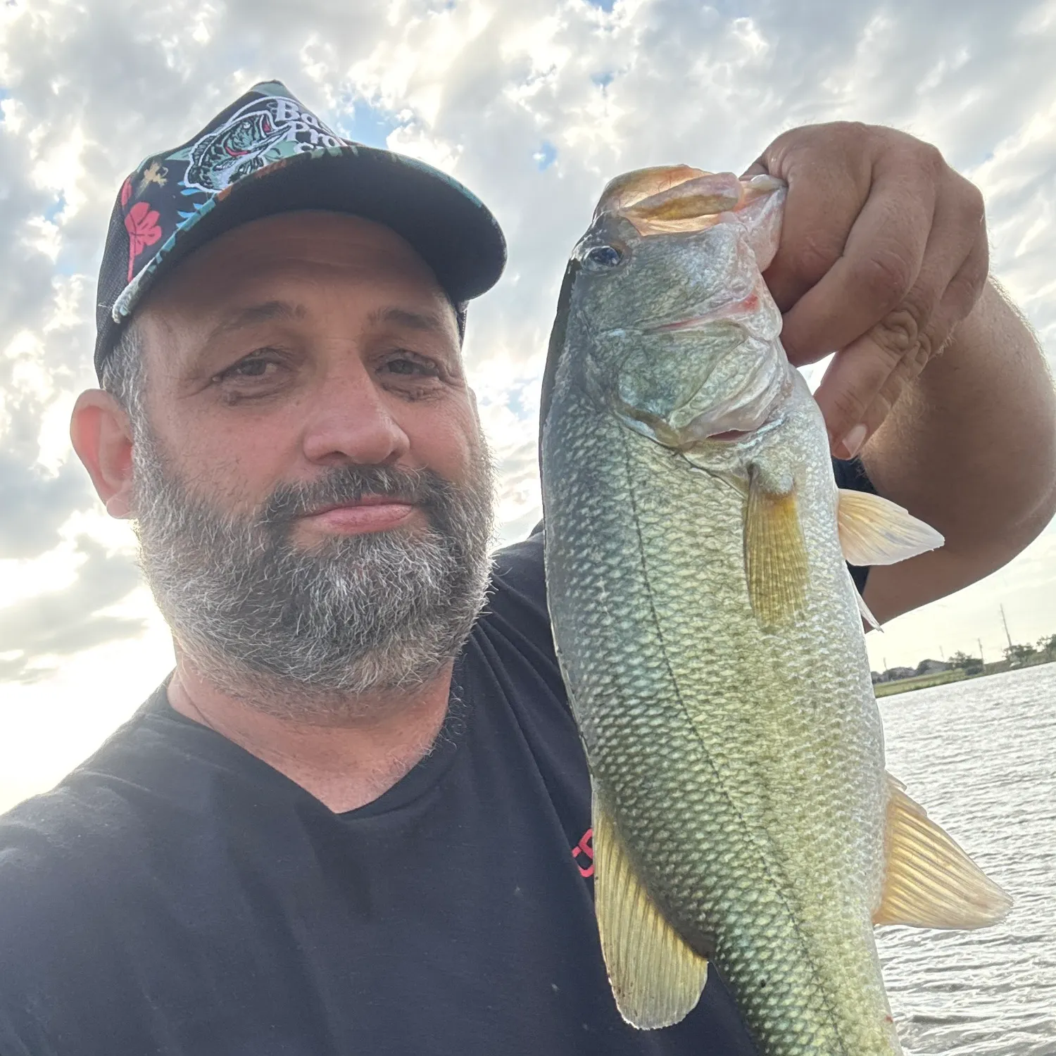 The most recent Largemouth bass catches on Fishbrain