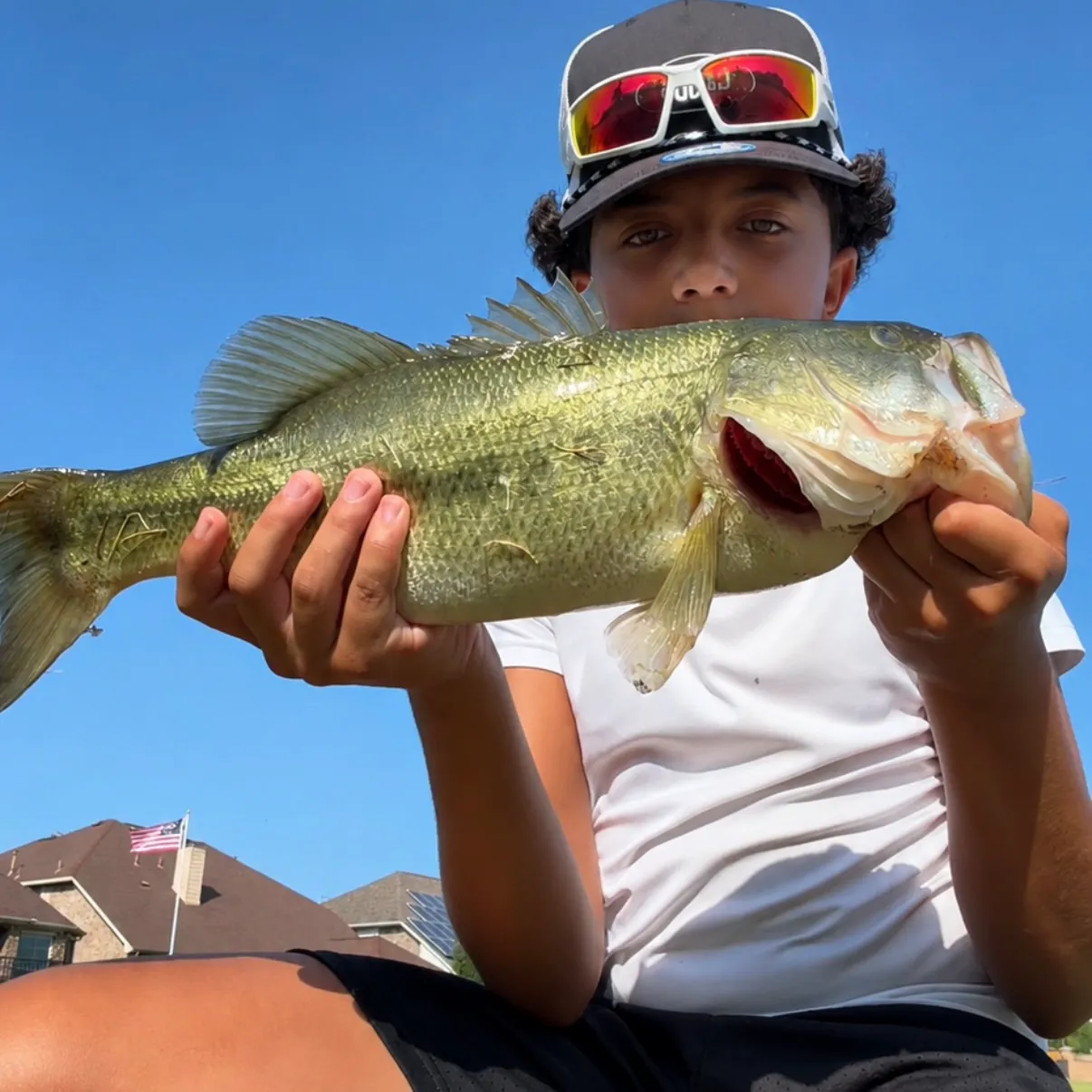 Largemouth bass caught on Fishbrain