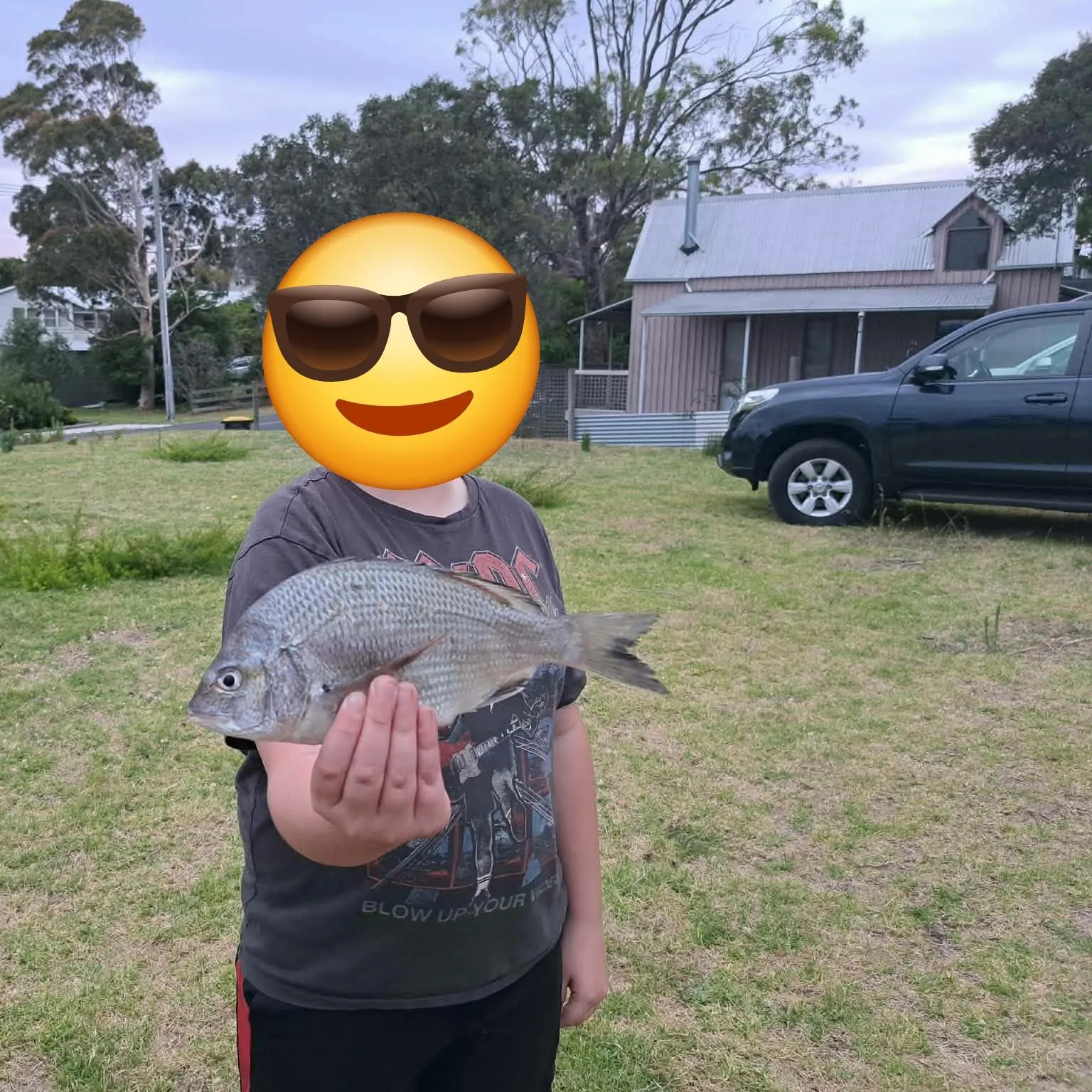 Southern black bream caught on Fishbrain