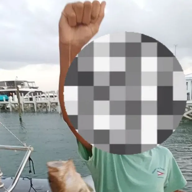 The most recent Nassau grouper catches on Fishbrain