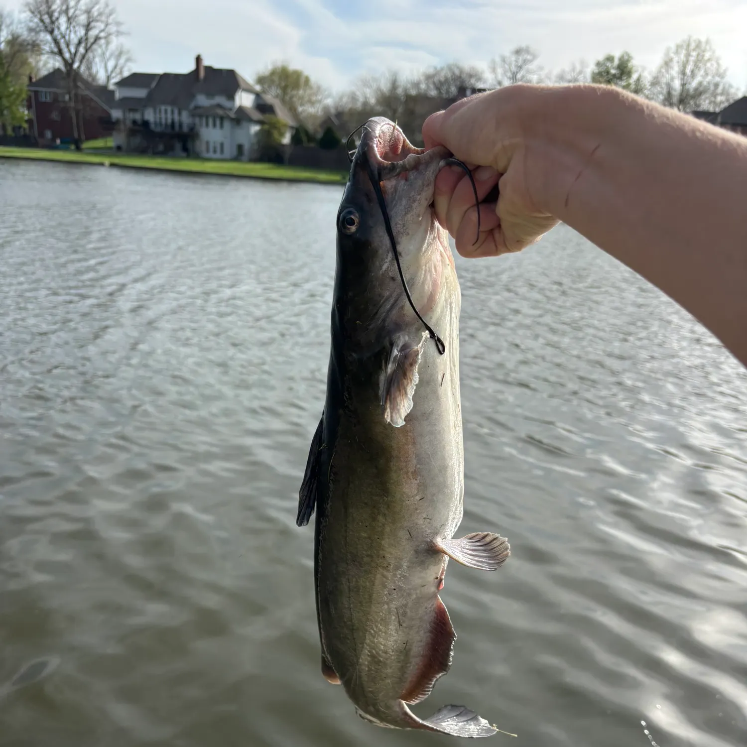 catch