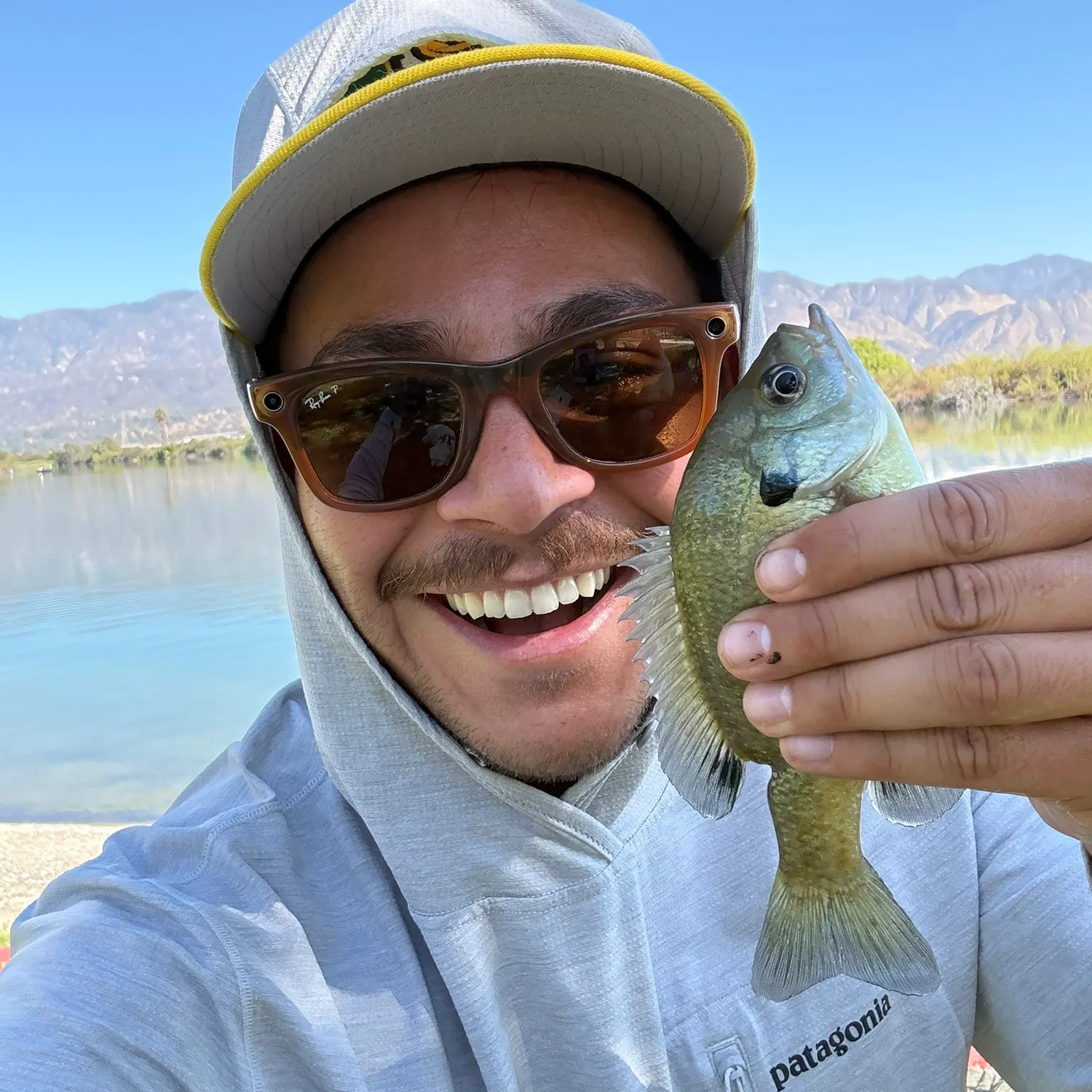Bluegill caught on Fishbrain