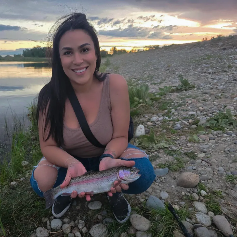 Rainbow trout caught on Fishbrain