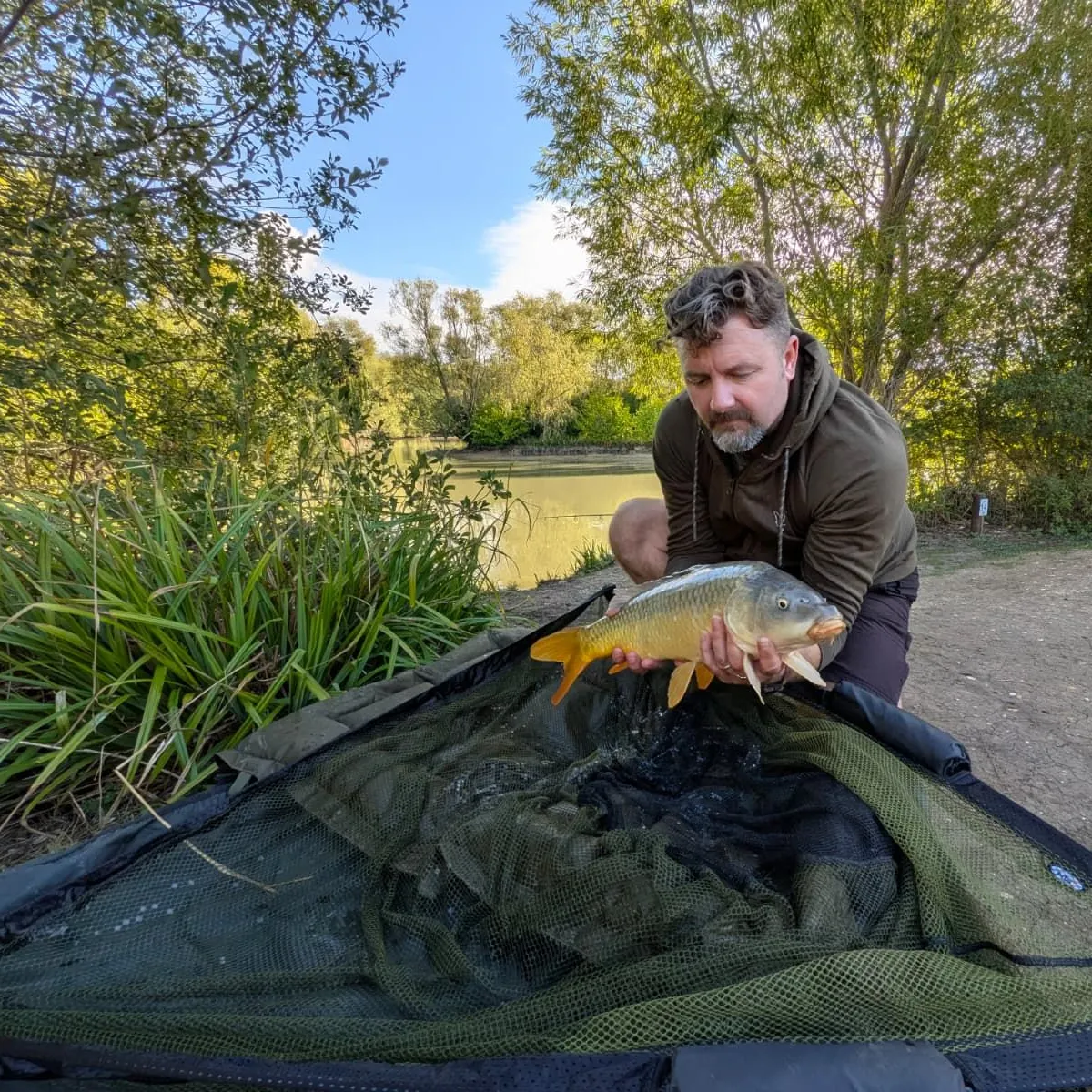 Common carp caught on Fishbrain