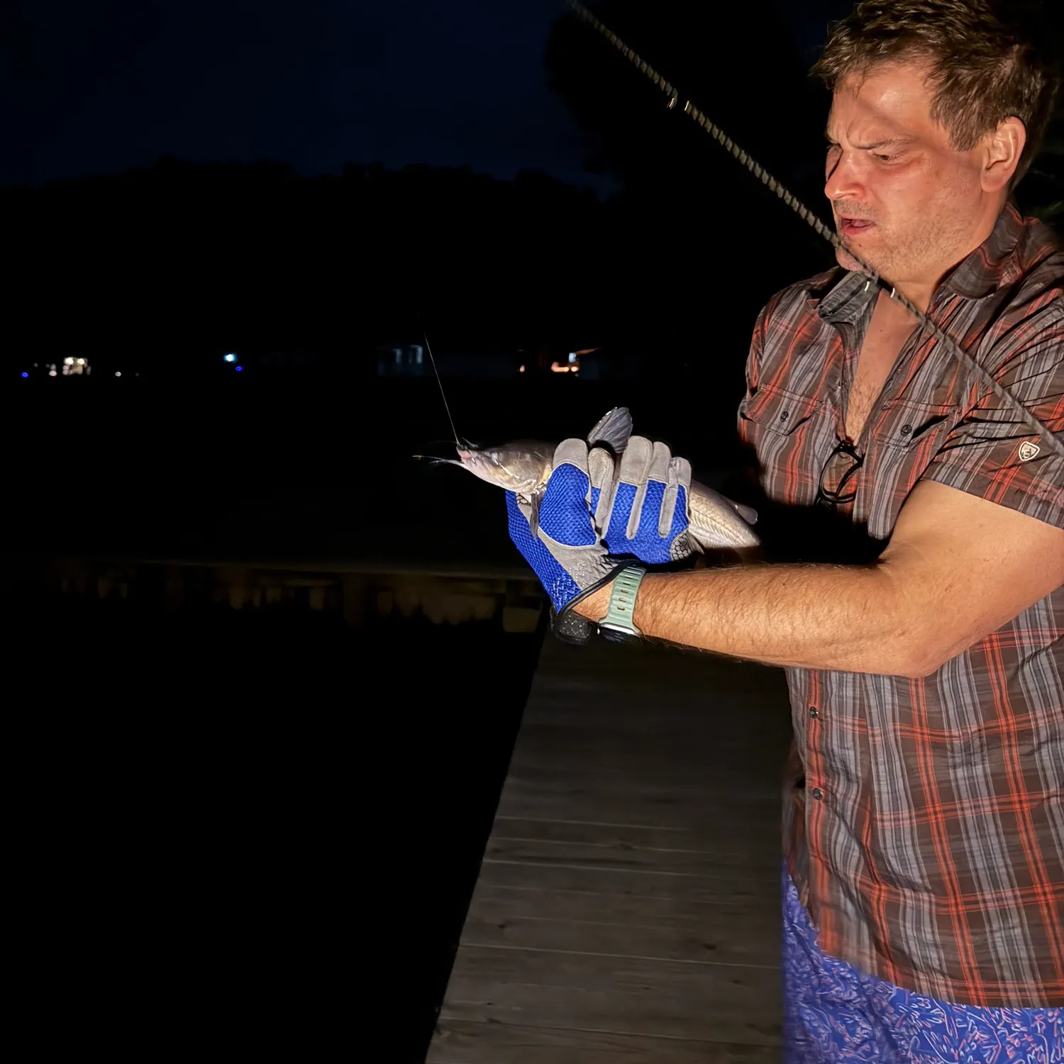 Channel catfish caught on Fishbrain